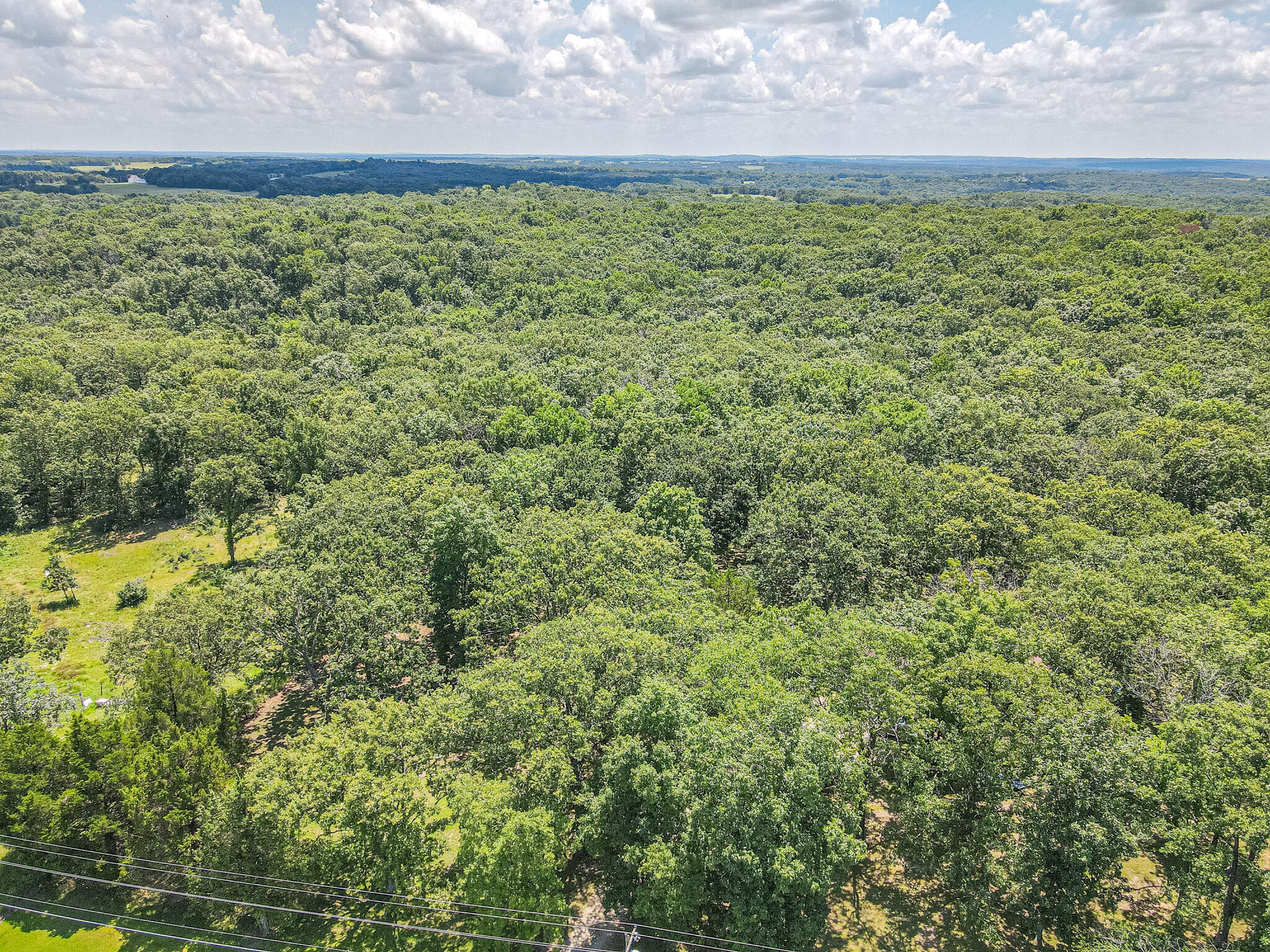 Photo 7 - Land for sale – 000  State Highway J   Pittsburg, MO
