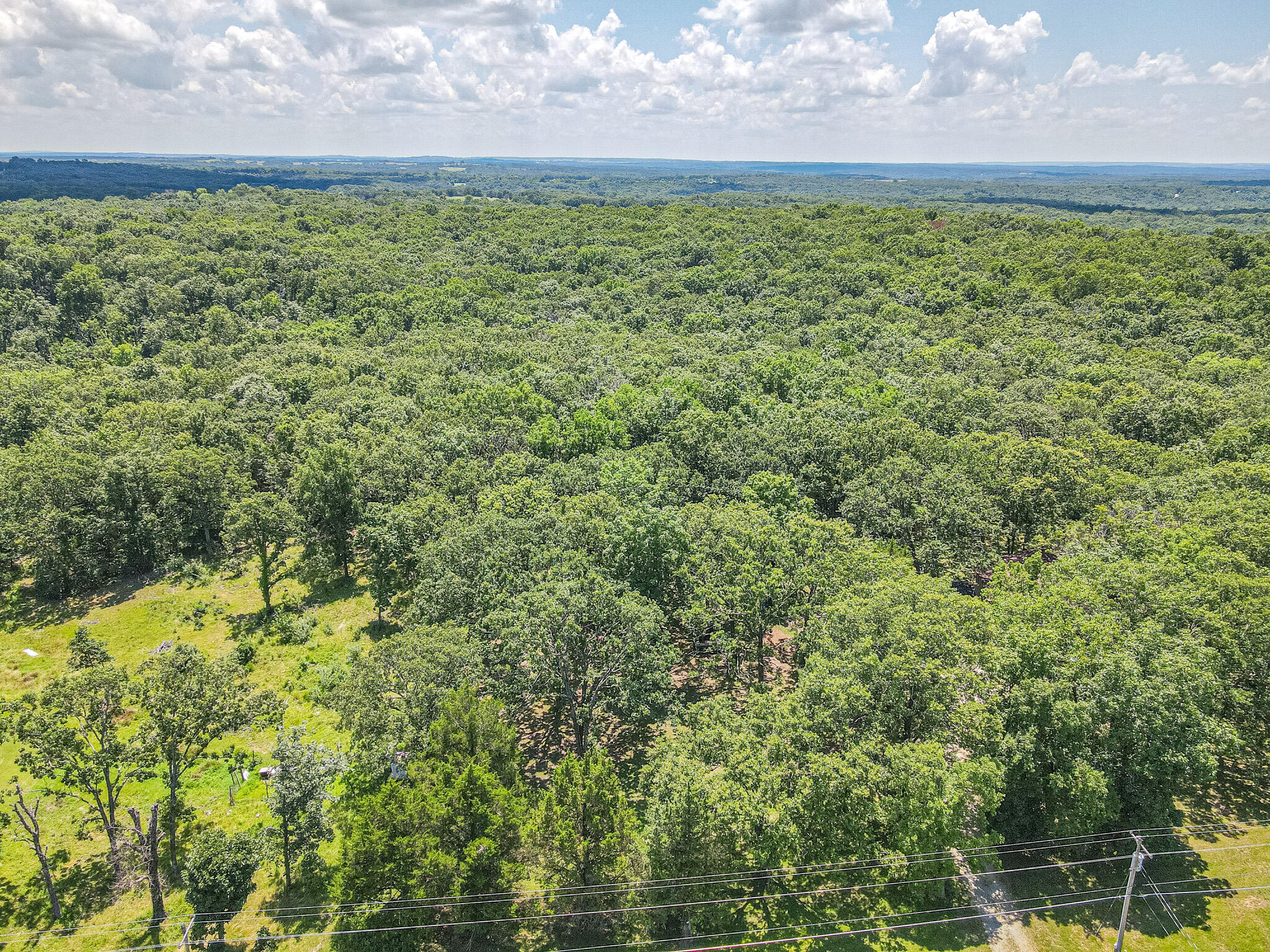 Photo 6 - Land for sale – 000  State Highway J   Pittsburg, MO