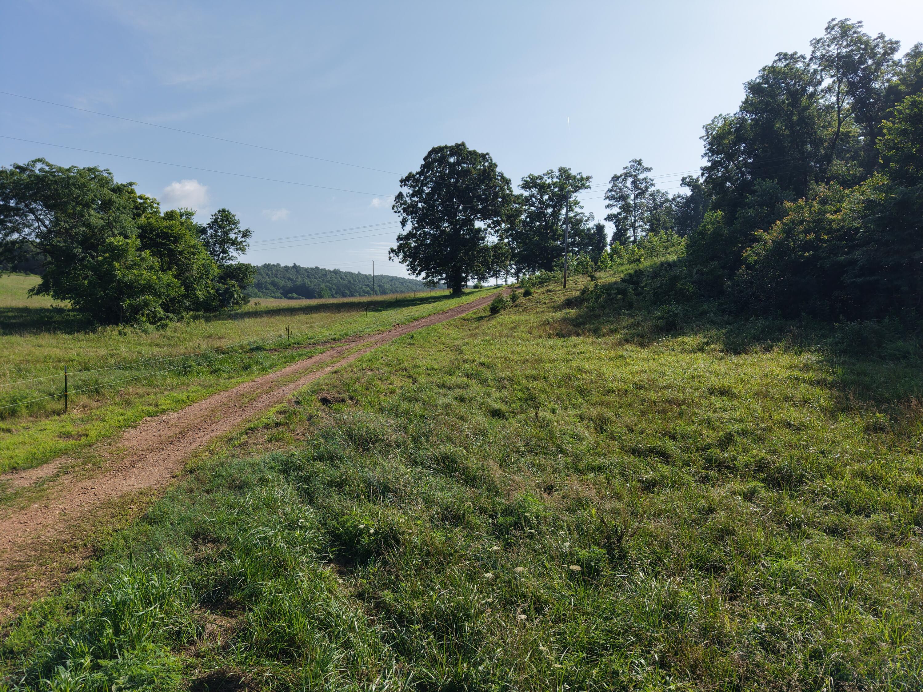 Photo 46 - Farm for sale – 193  Mcfarland Hill   Tecumseh, MO