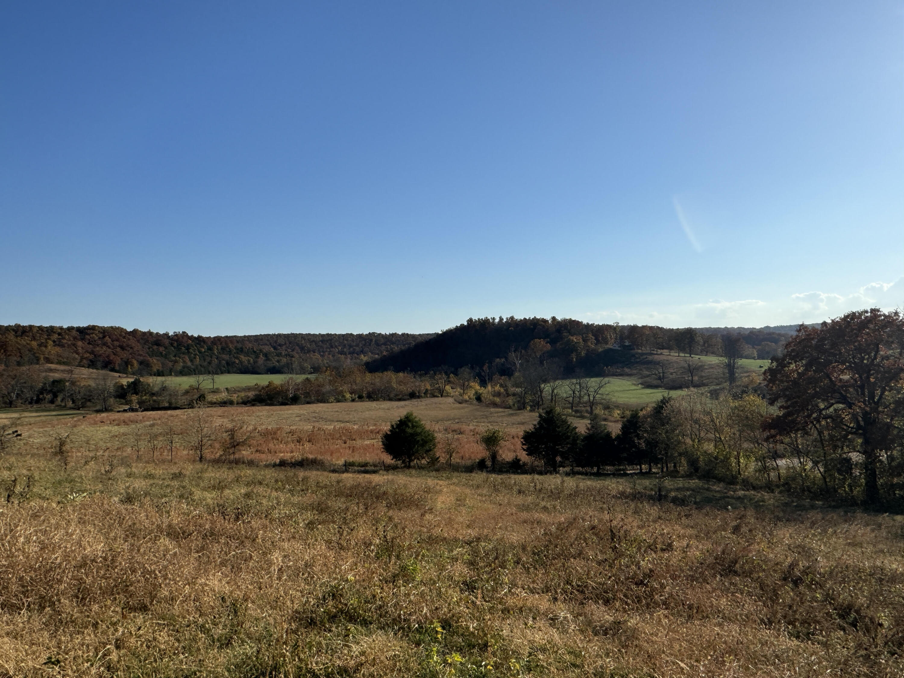 Photo 58 - Farm for sale – 193  Mcfarland Hill   Tecumseh, MO