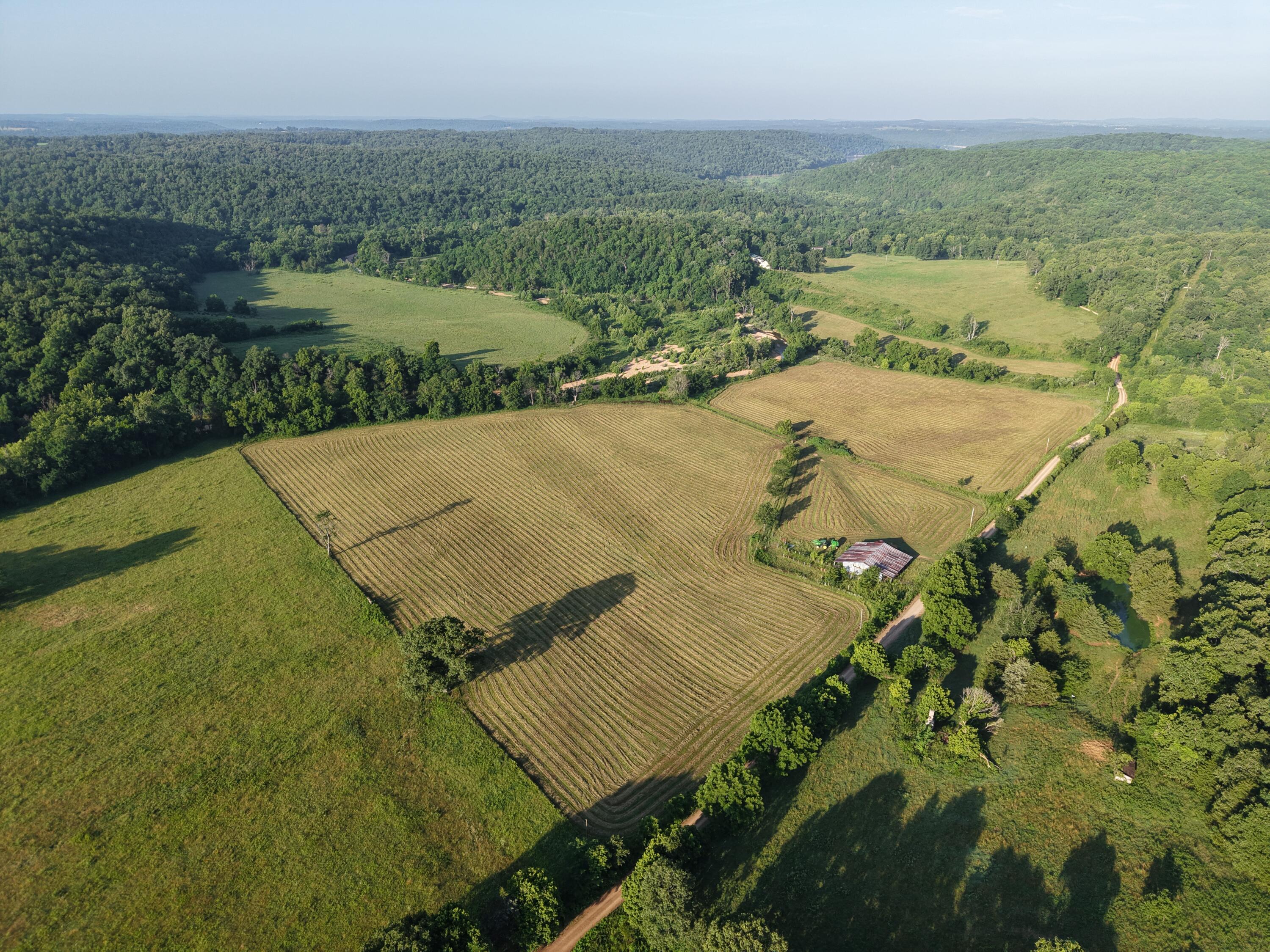 Photo 14 - Farm for sale – 193  Mcfarland Hill   Tecumseh, MO