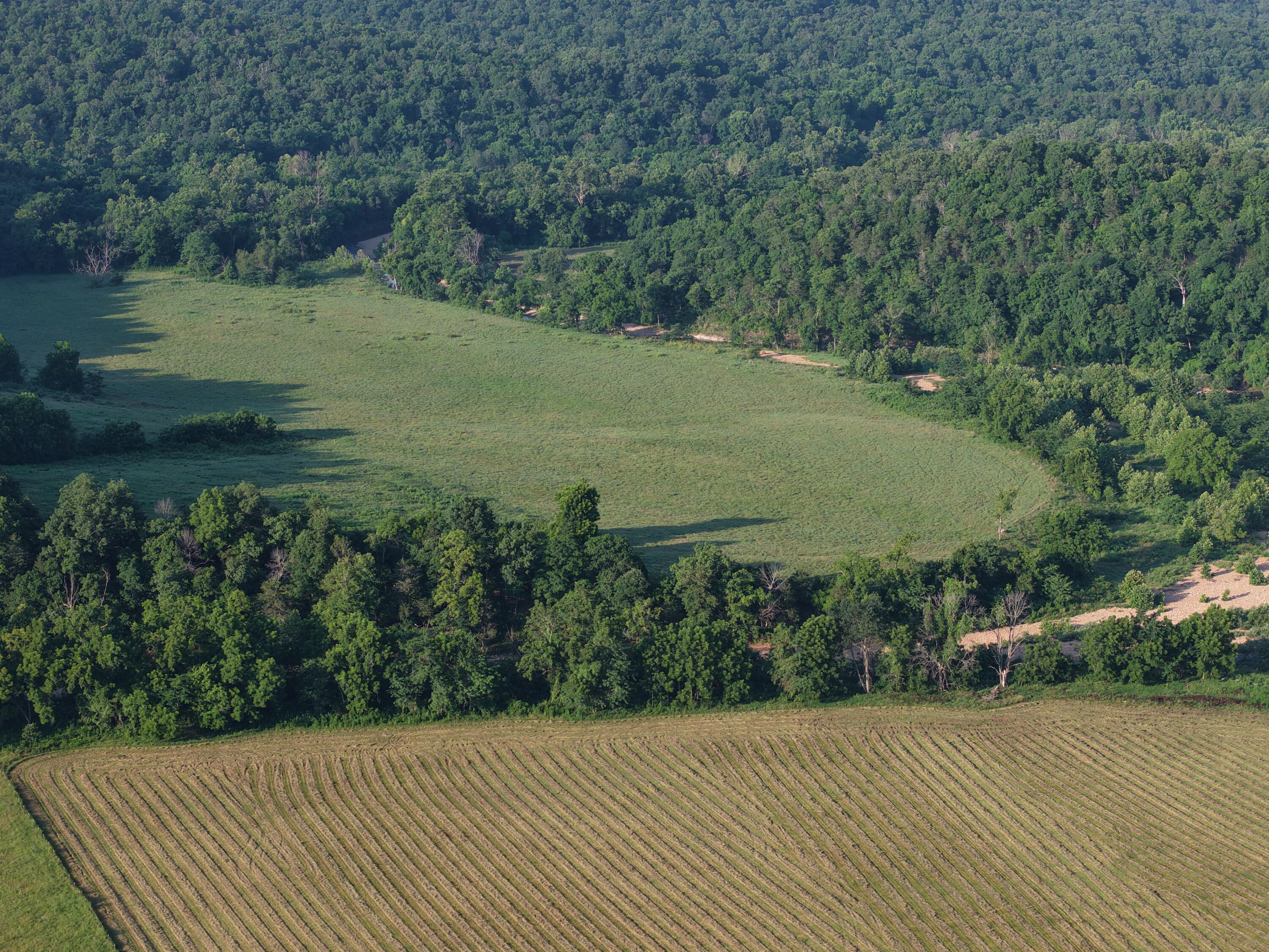 Photo 16 - Farm for sale – 193  Mcfarland Hill   Tecumseh, MO