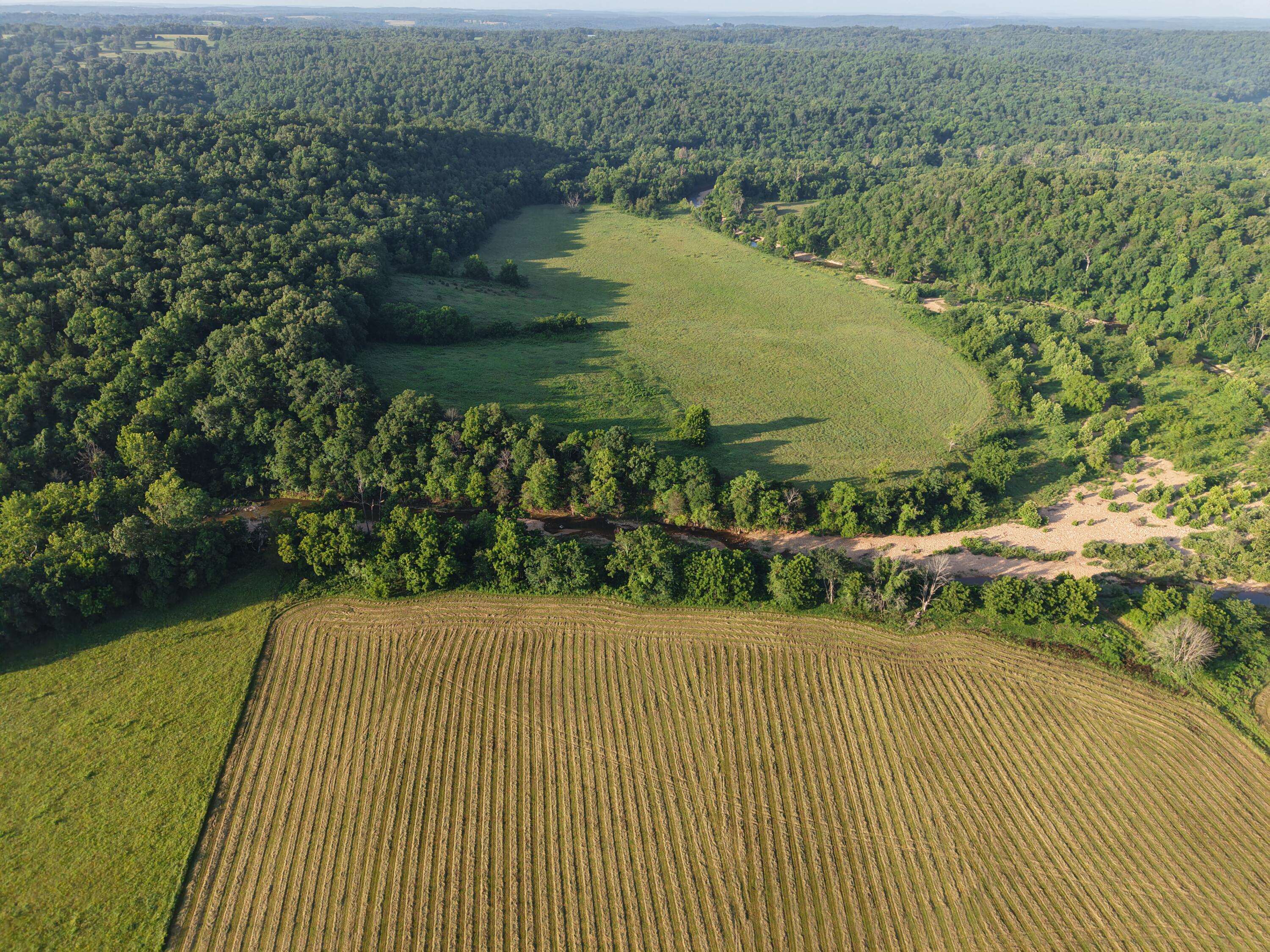Photo 13 - Farm for sale – 193  Mcfarland Hill   Tecumseh, MO
