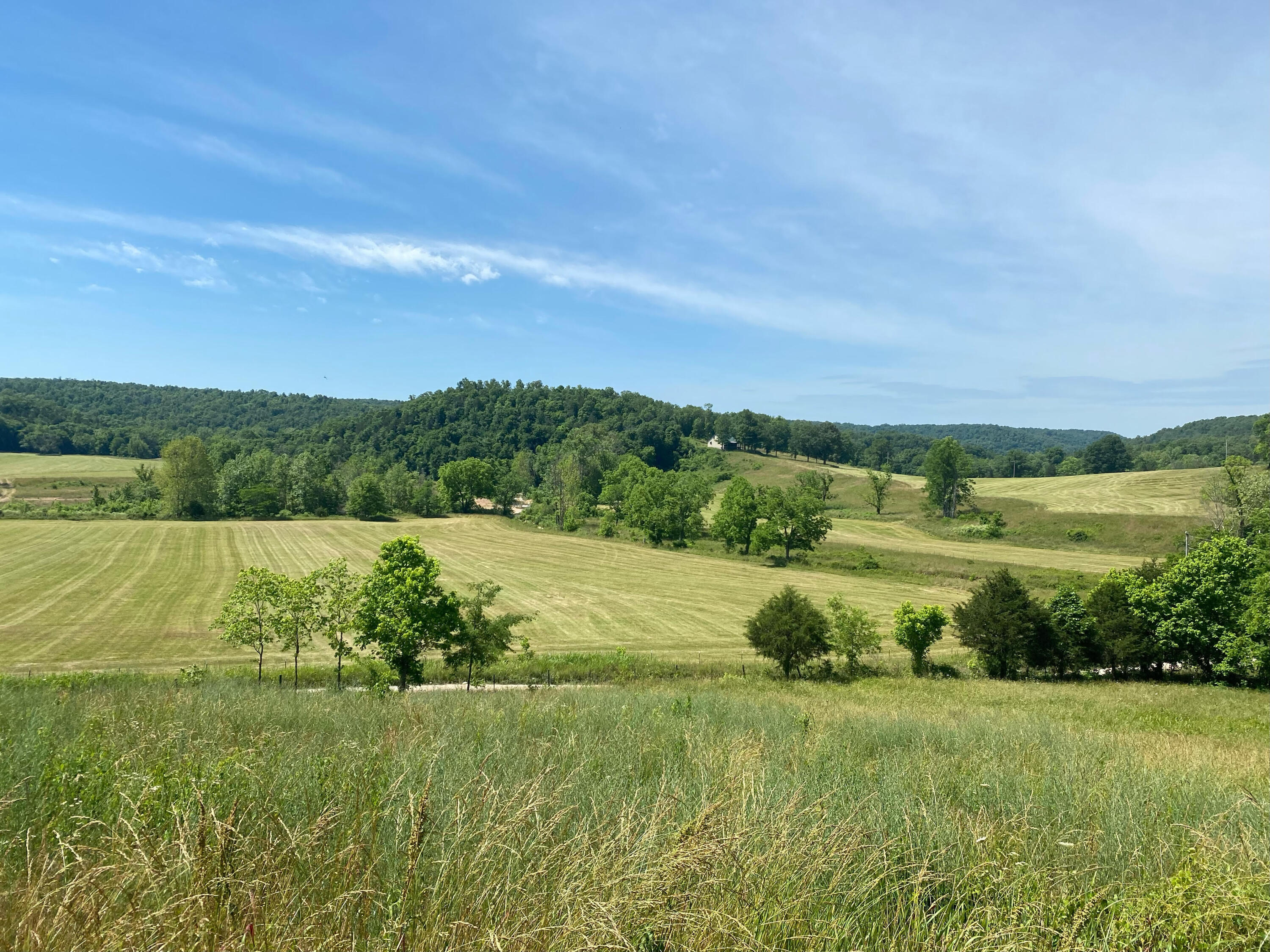 Photo 51 - Farm for sale – 193  Mcfarland Hill   Tecumseh, MO