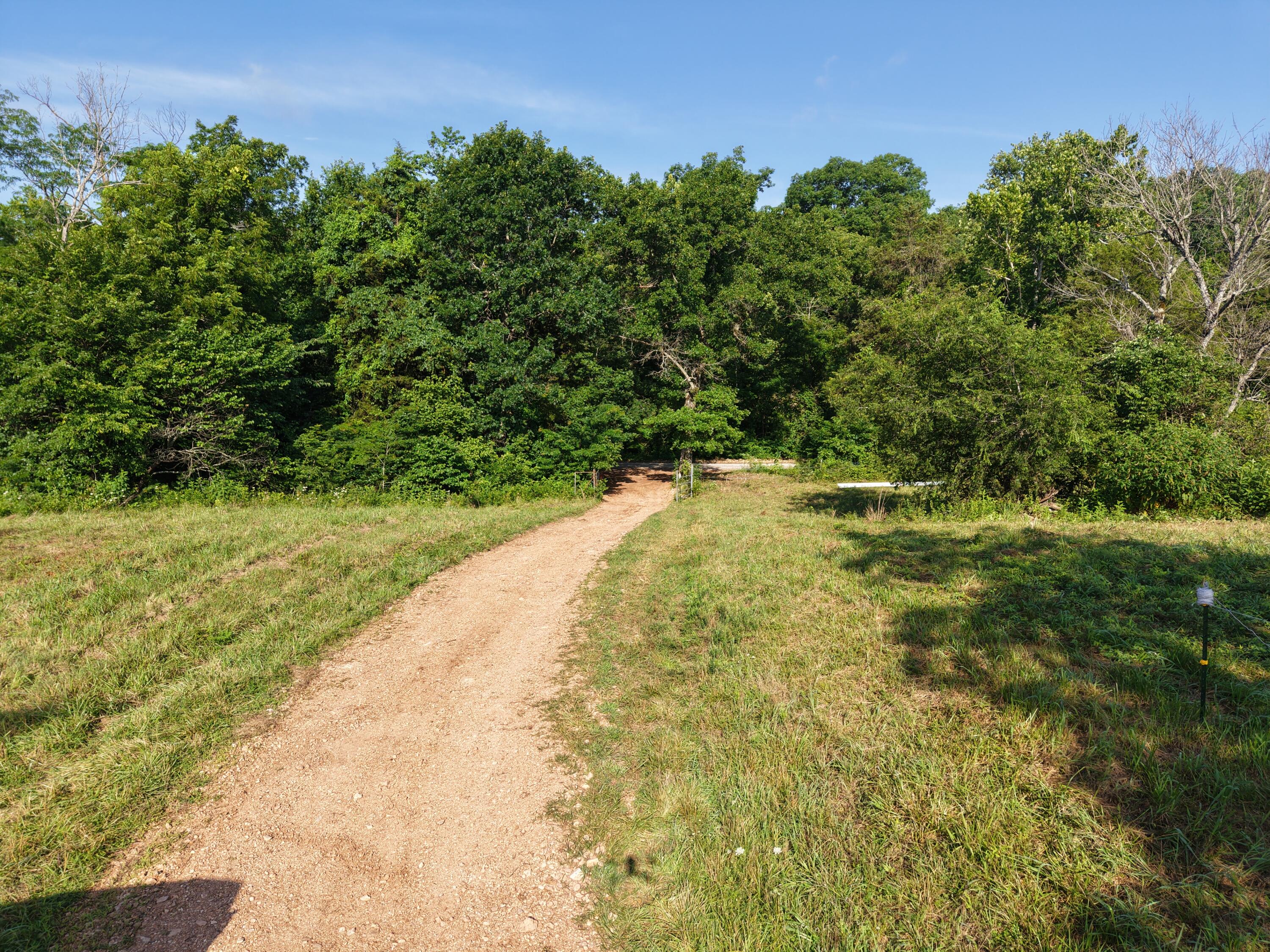 Photo 43 - Farm for sale – 193  Mcfarland Hill   Tecumseh, MO