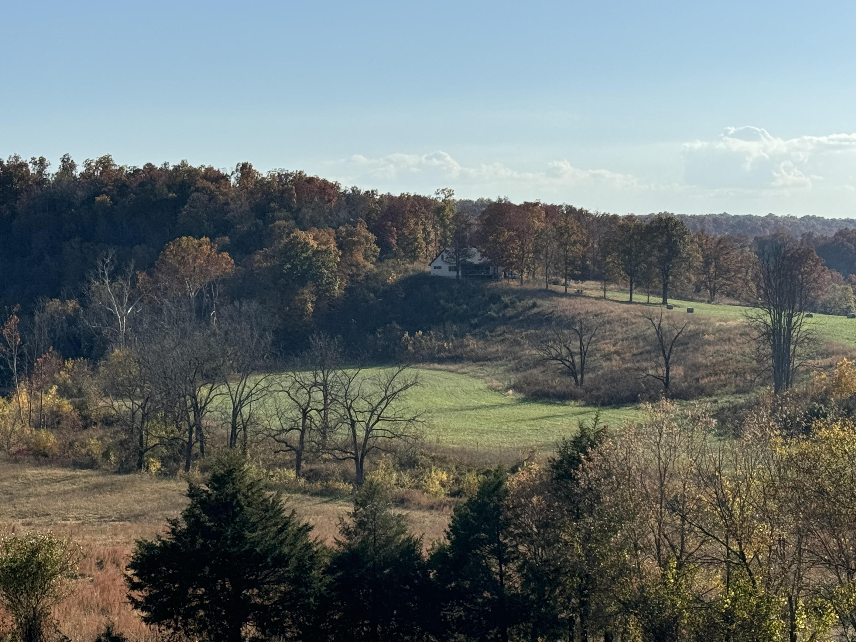Photo 59 - Farm for sale – 193  Mcfarland Hill   Tecumseh, MO