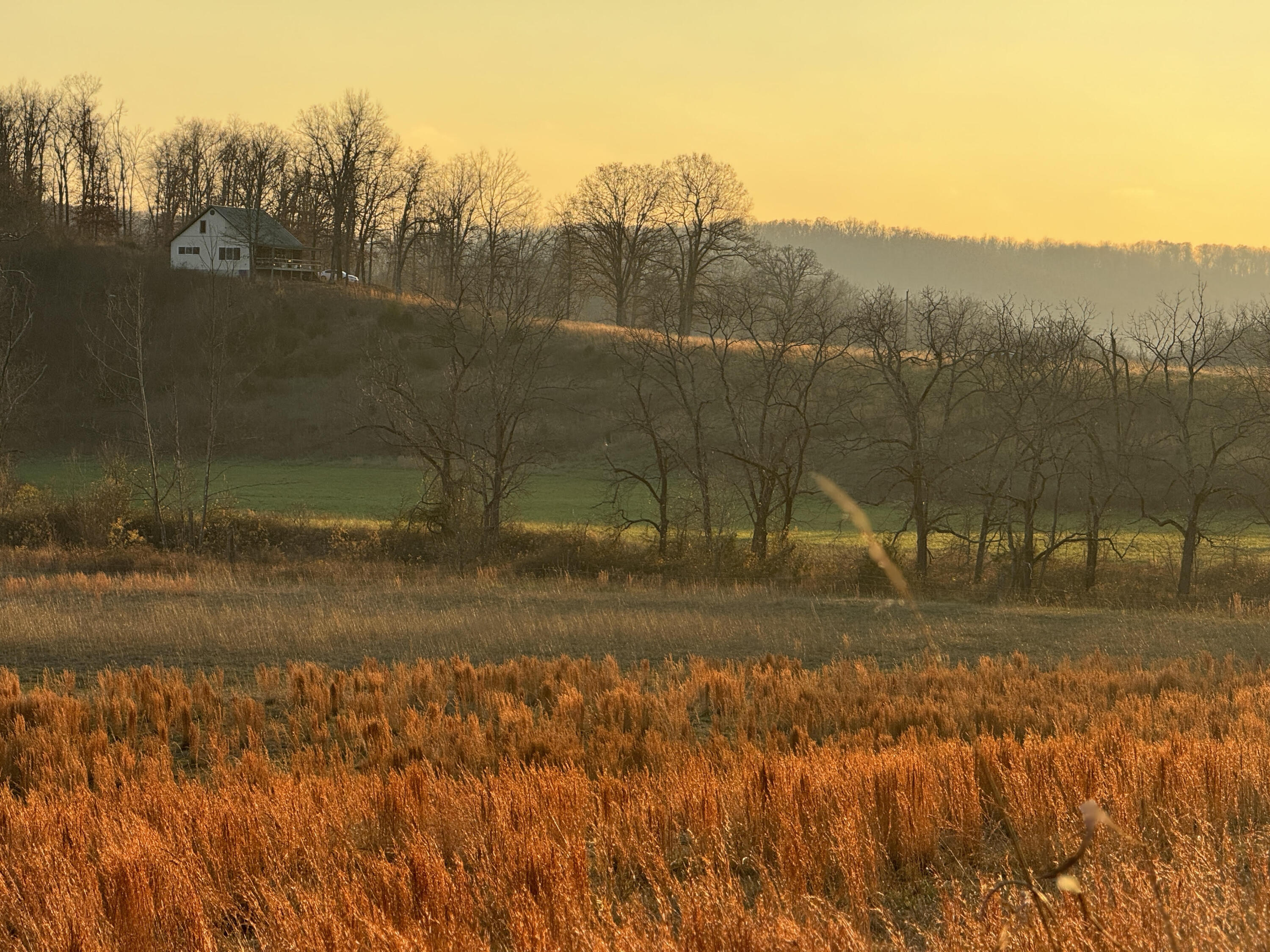 Photo 57 - Farm for sale – 193  Mcfarland Hill   Tecumseh, MO