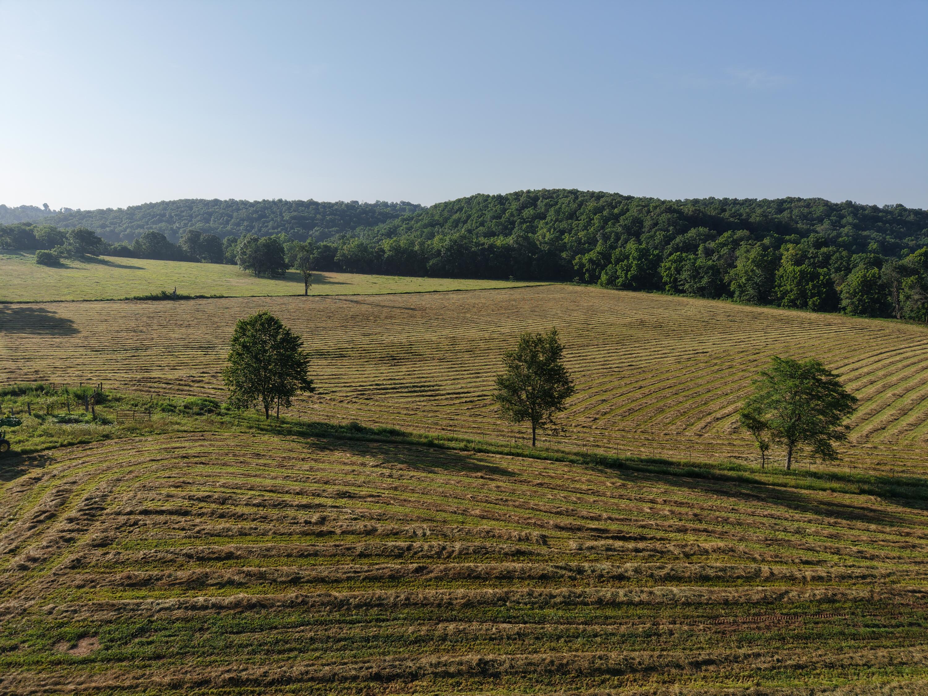 Photo 34 - Farm for sale – 193  Mcfarland Hill   Tecumseh, MO