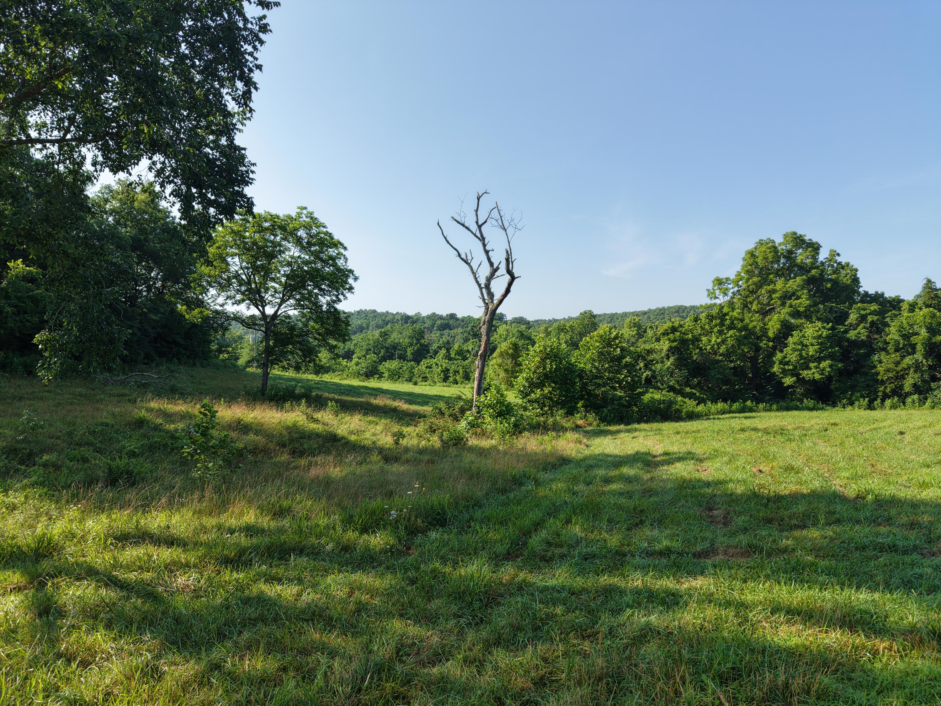 Photo 42 - Farm for sale – 193  Mcfarland Hill   Tecumseh, MO