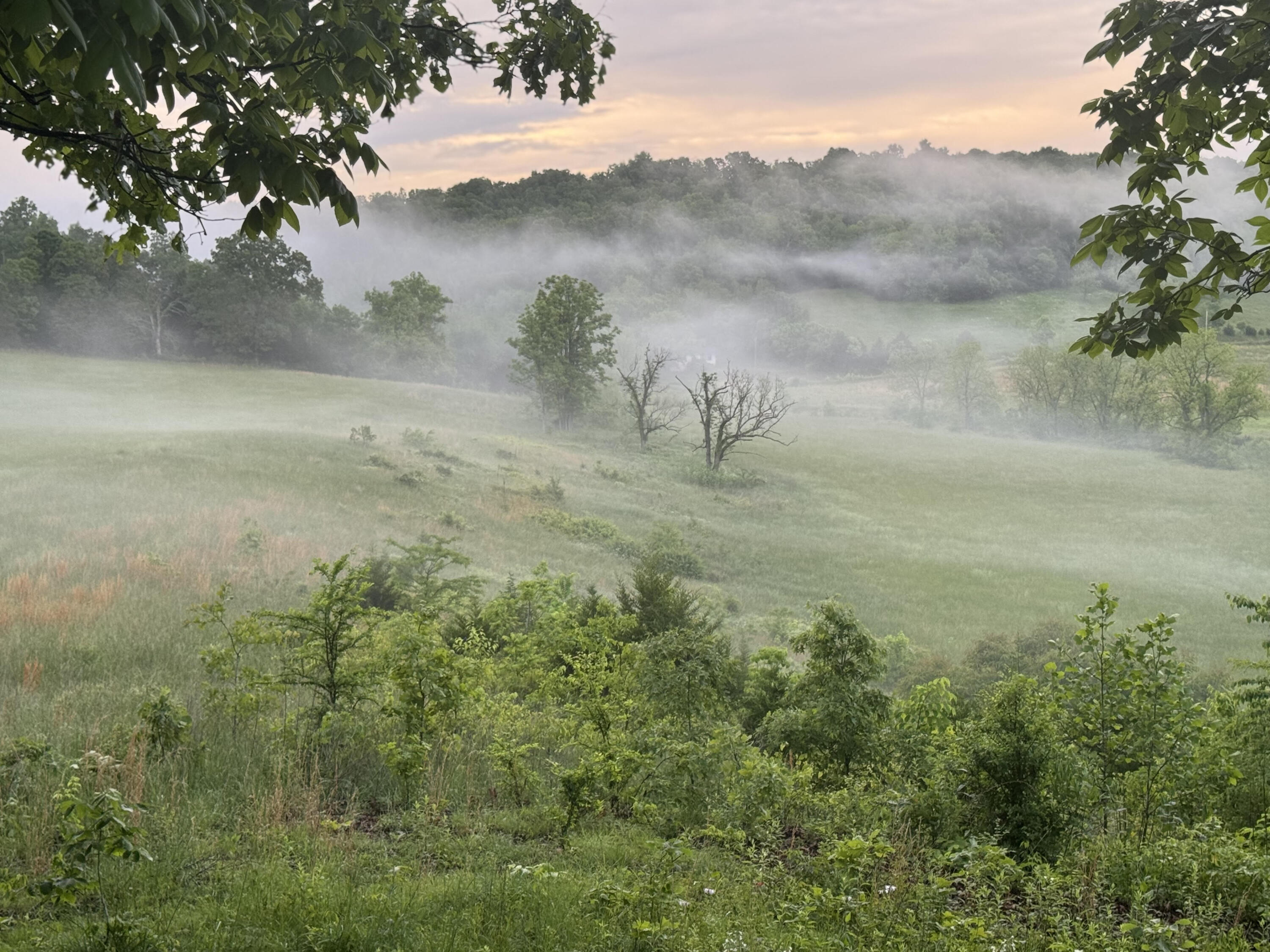 Photo 53 - Farm for sale – 193  Mcfarland Hill   Tecumseh, MO