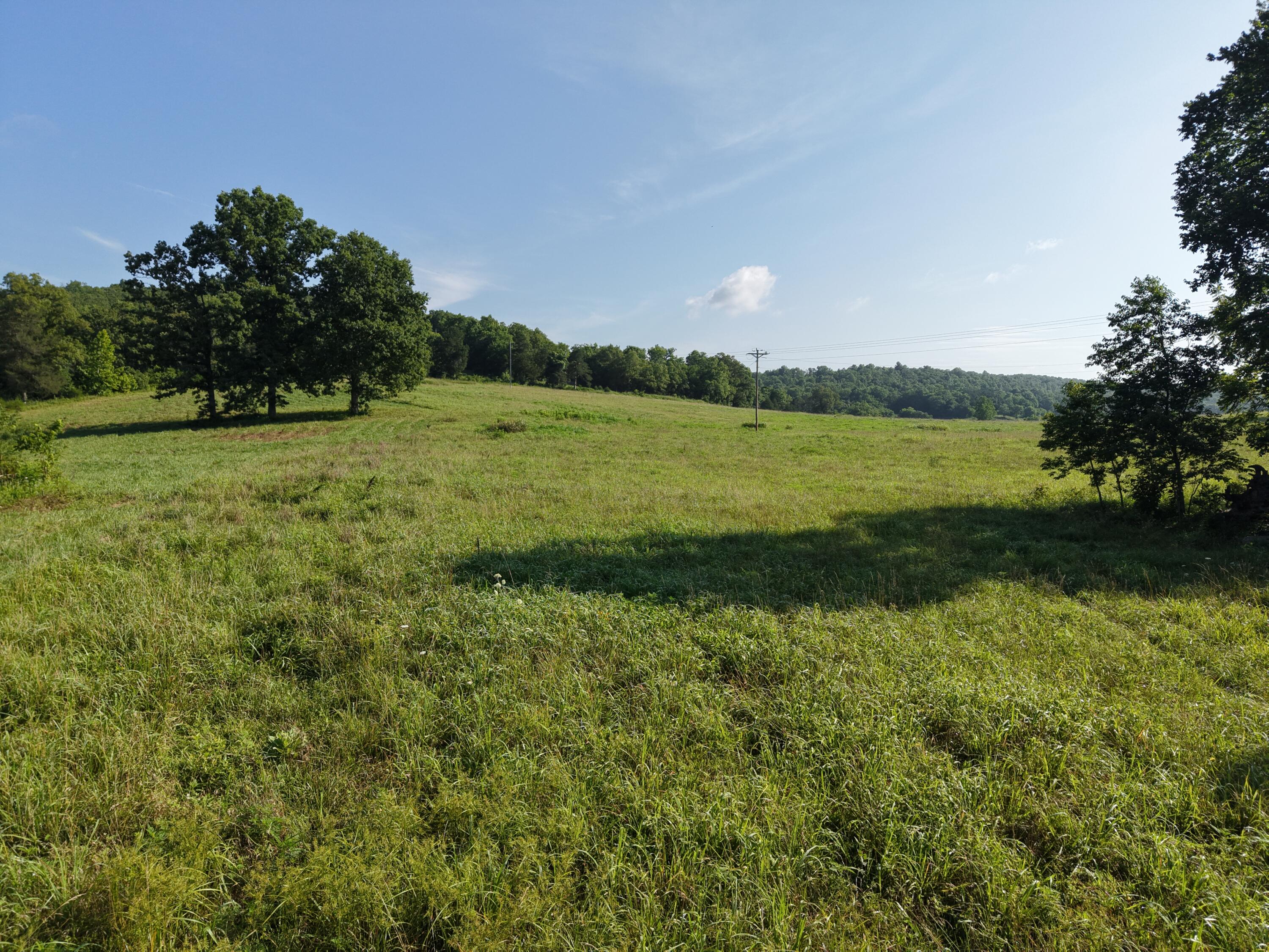 Photo 47 - Farm for sale – 193  Mcfarland Hill   Tecumseh, MO