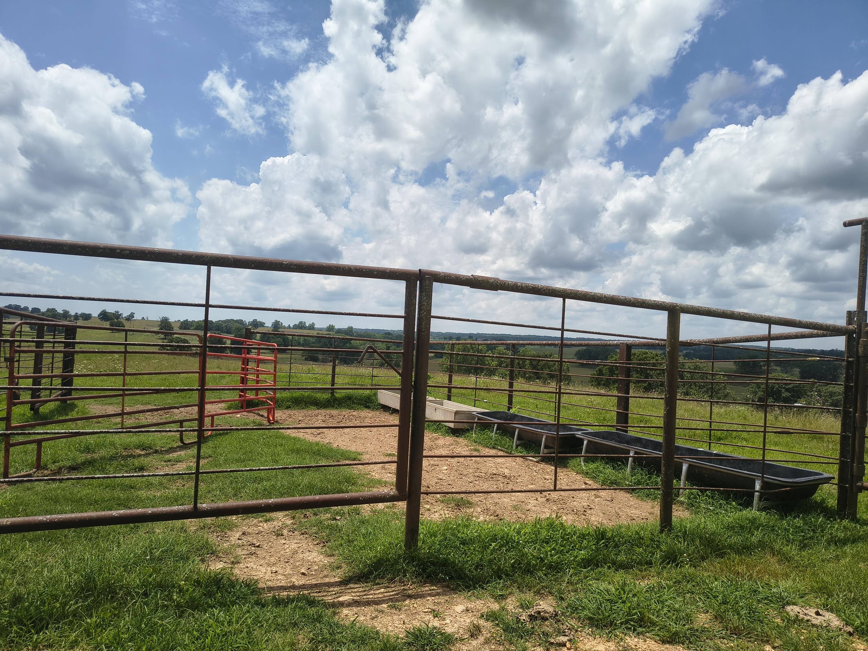 Photo 5 - Farm for sale – 25059 W State Highway Tt   Crane, MO