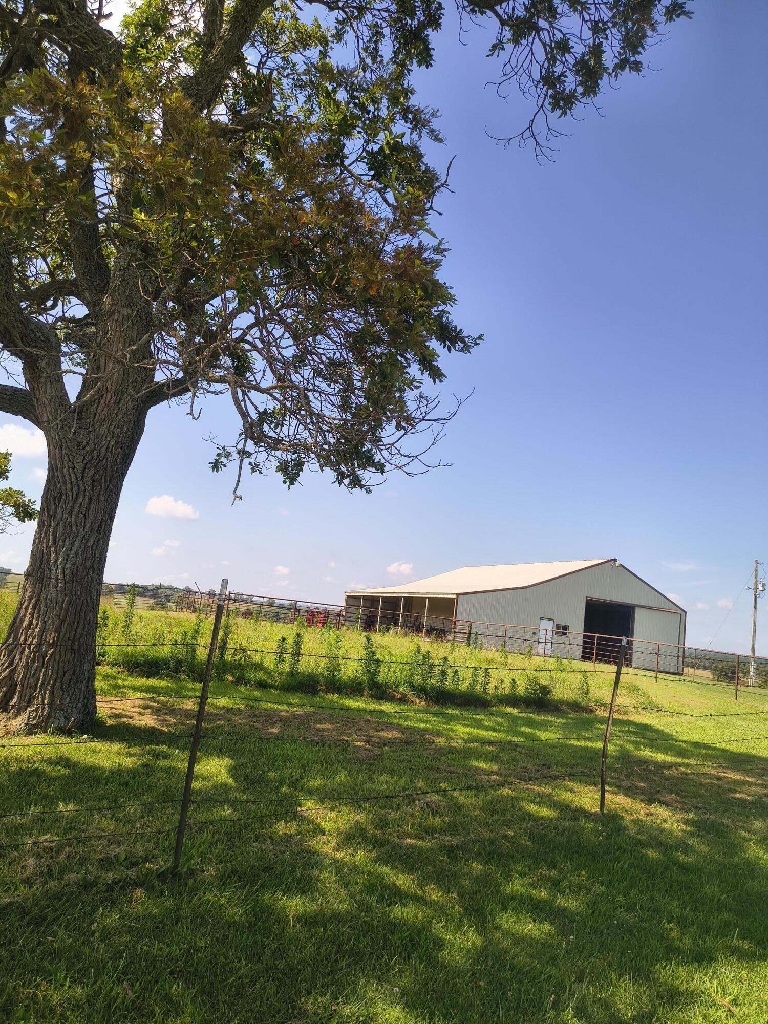Photo 2 - Farm for sale – 25059 W State Highway Tt   Crane, MO