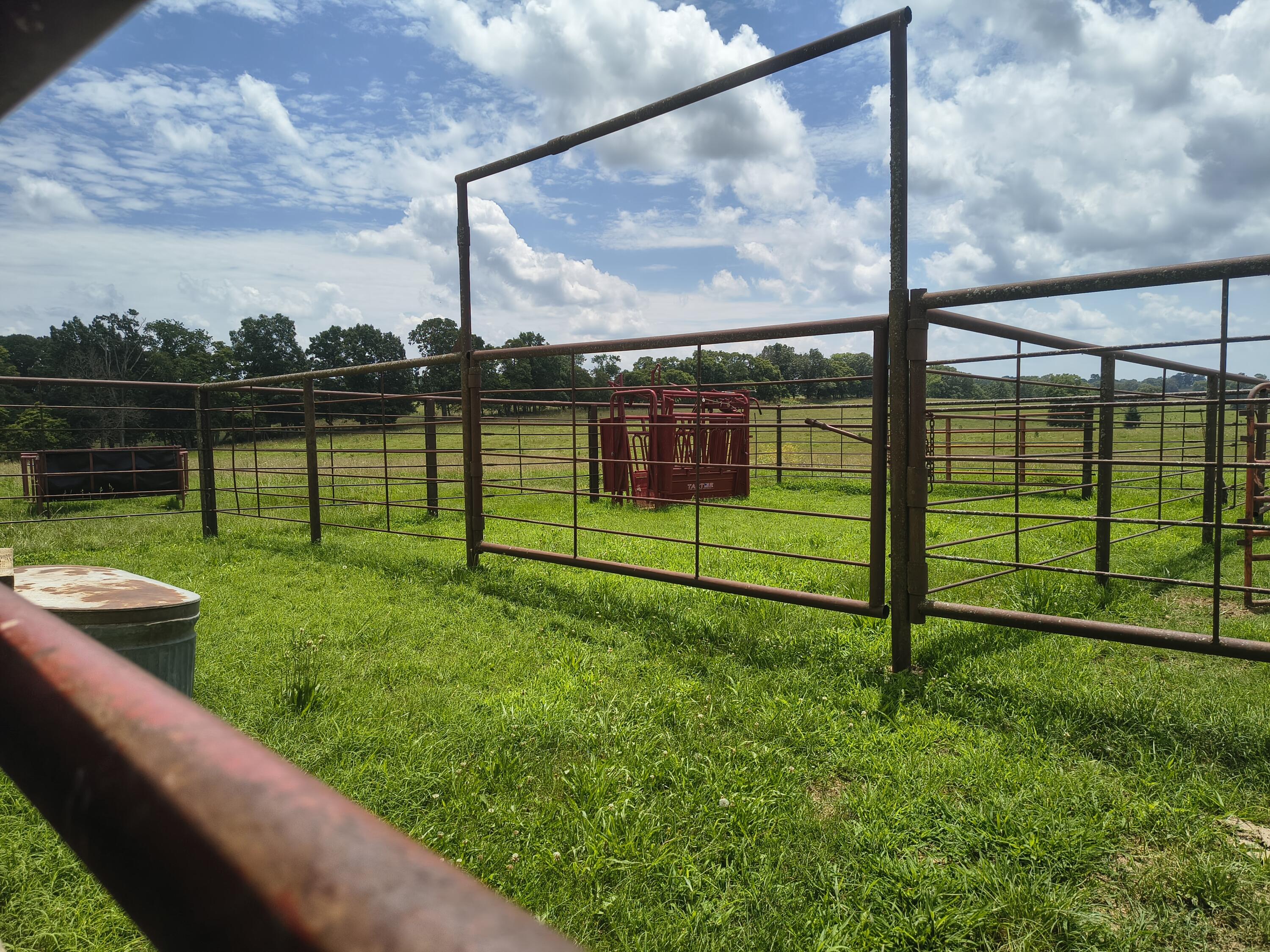 Photo 4 - Farm for sale – 25059 W State Highway Tt   Crane, MO