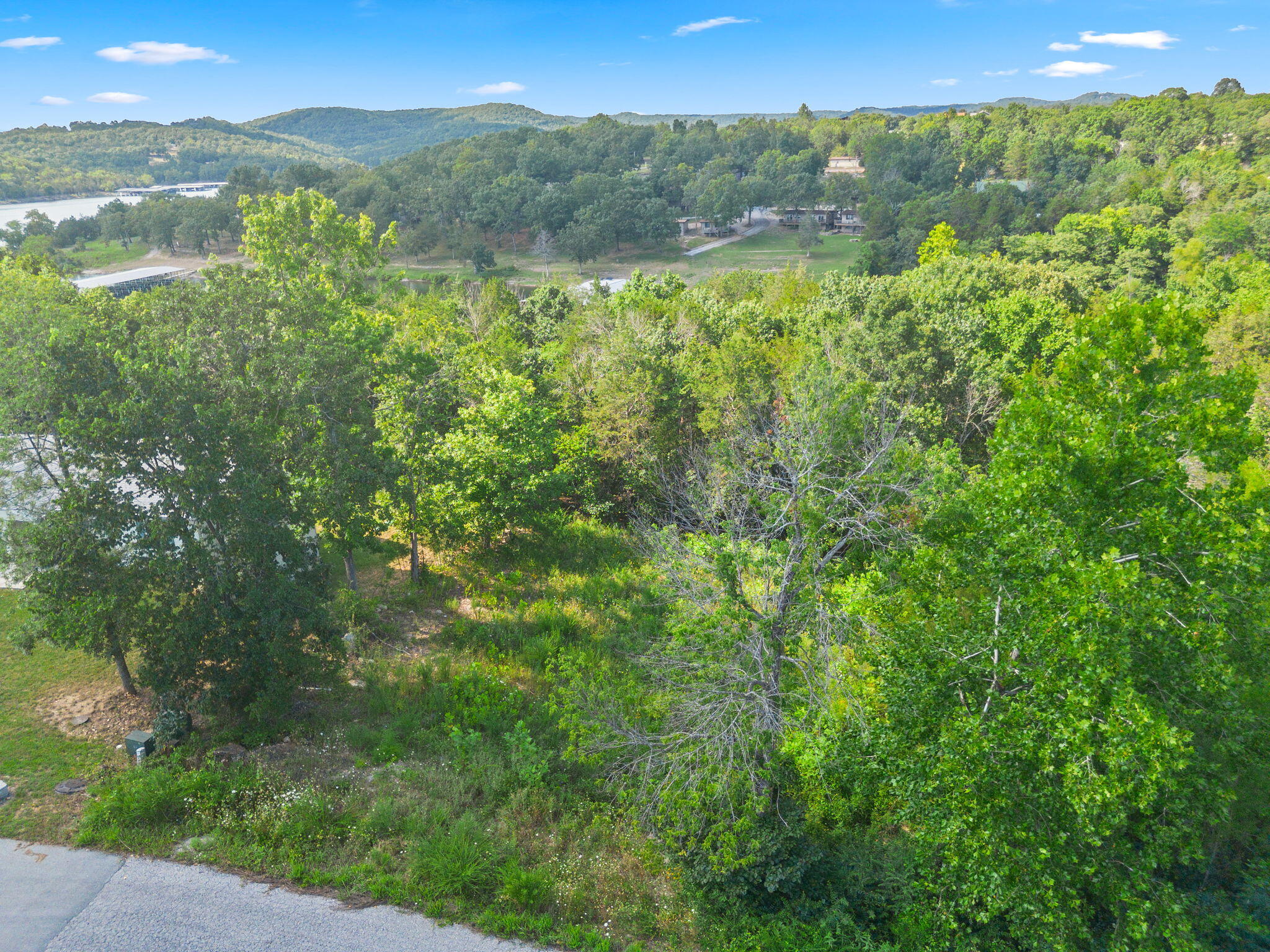 Photo 5 - Land for sale – Lot 16  Clear Cove Landing   Reeds Spring, MO