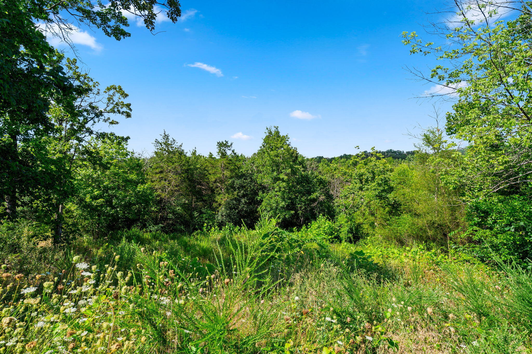 Photo 7 - Land for sale – Lot 16  Clear Cove Landing   Reeds Spring, MO