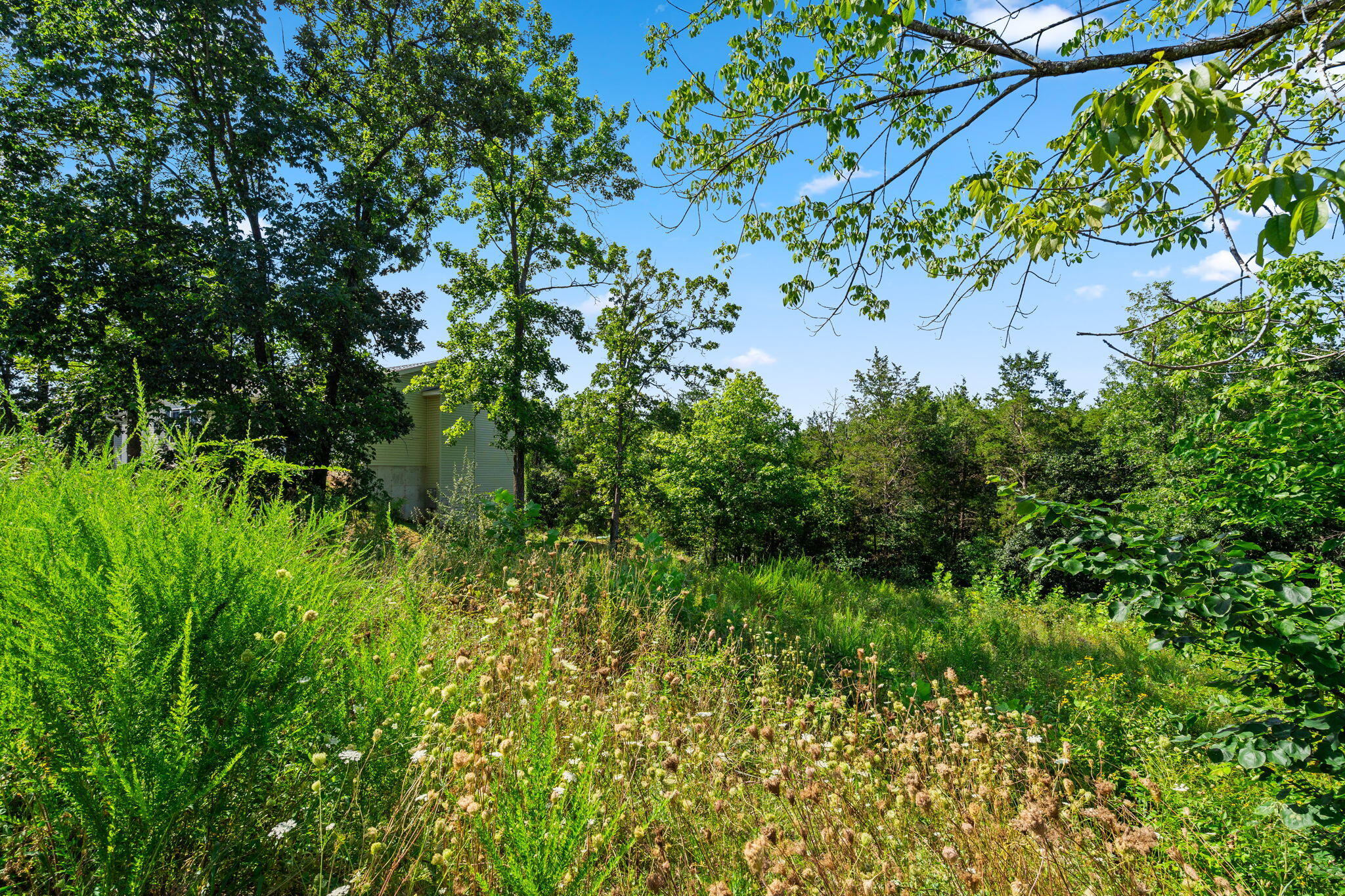 Photo 6 - Land for sale – Lot 16  Clear Cove Landing   Reeds Spring, MO