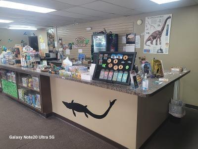 Photo 10 - Commercial Sale for sale – 3619 W 76 Country Boulevard  Branson, MO