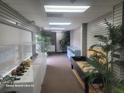 Photo 22 - Commercial Sale for sale – 3619 W 76 Country Boulevard  Branson, MO