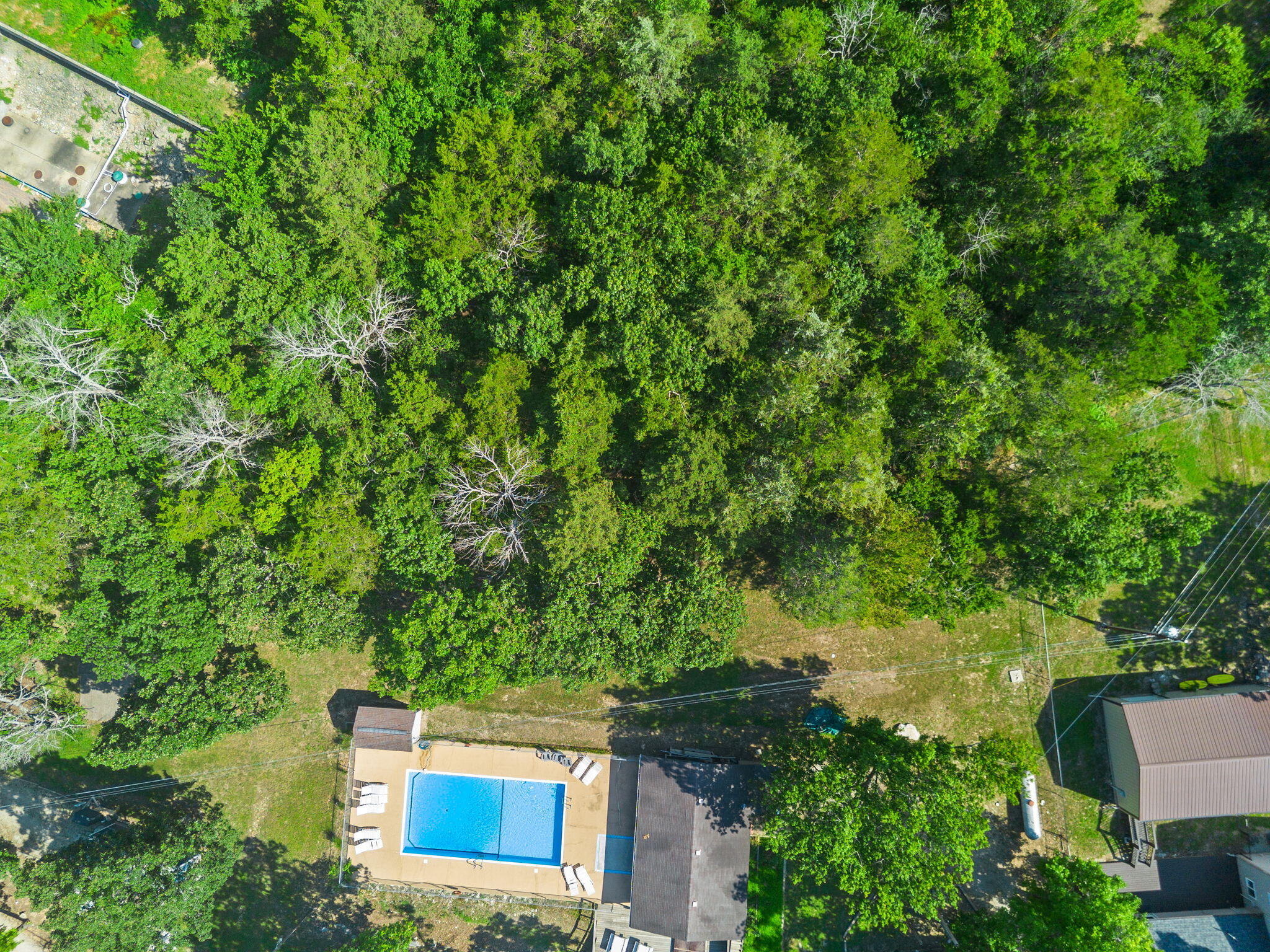 Photo 4 - Land for sale – Lot 21a  Kings Cove Lane  Reeds Spring, MO
