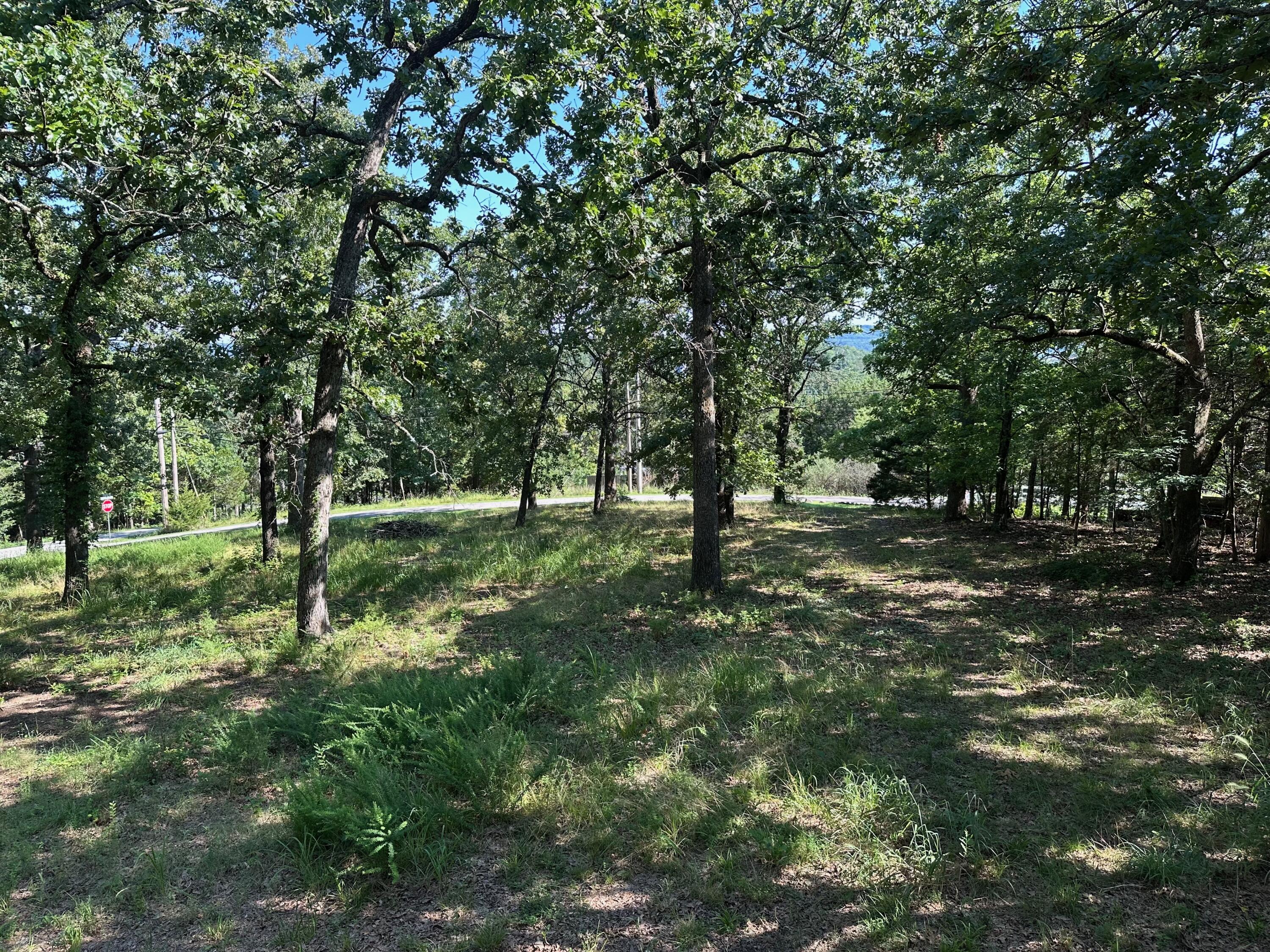 Photo 51 - Residential for sale – 203  Blue Meadows Drive  Branson, MO