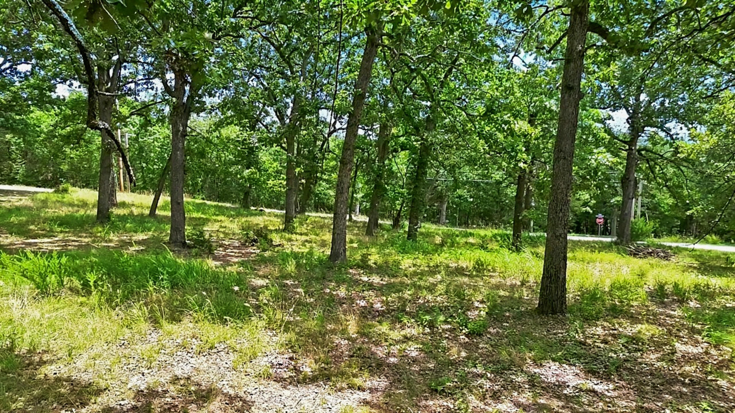Photo 66 - Residential for sale – 203  Blue Meadows Drive  Branson, MO
