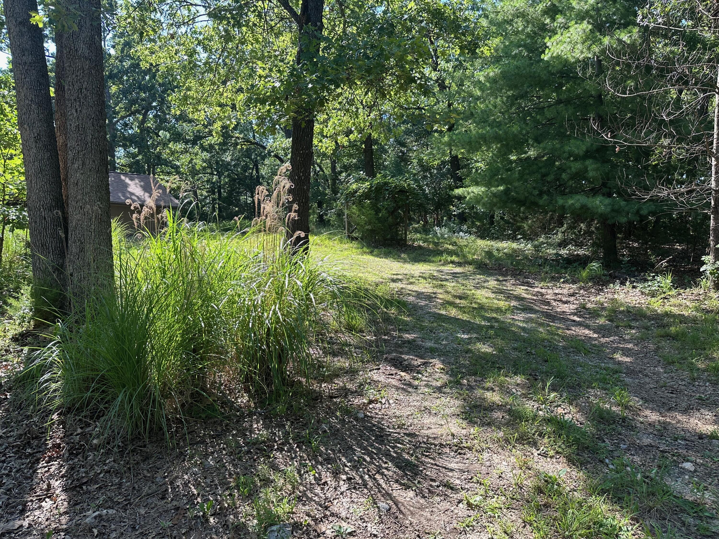 Photo 56 - Residential for sale – 203  Blue Meadows Drive  Branson, MO