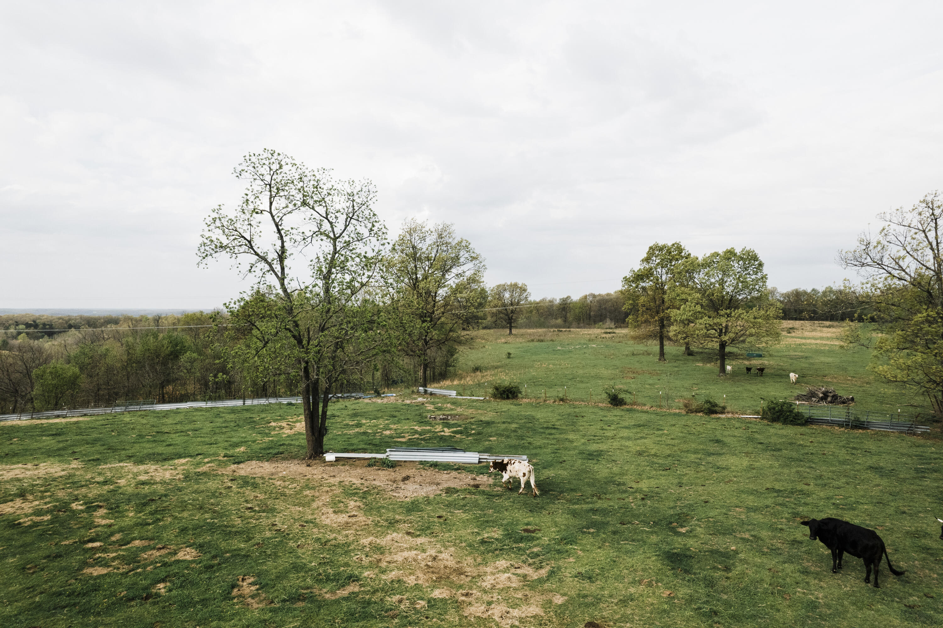 Land for sale – 000  Buckeye   Stella, MO