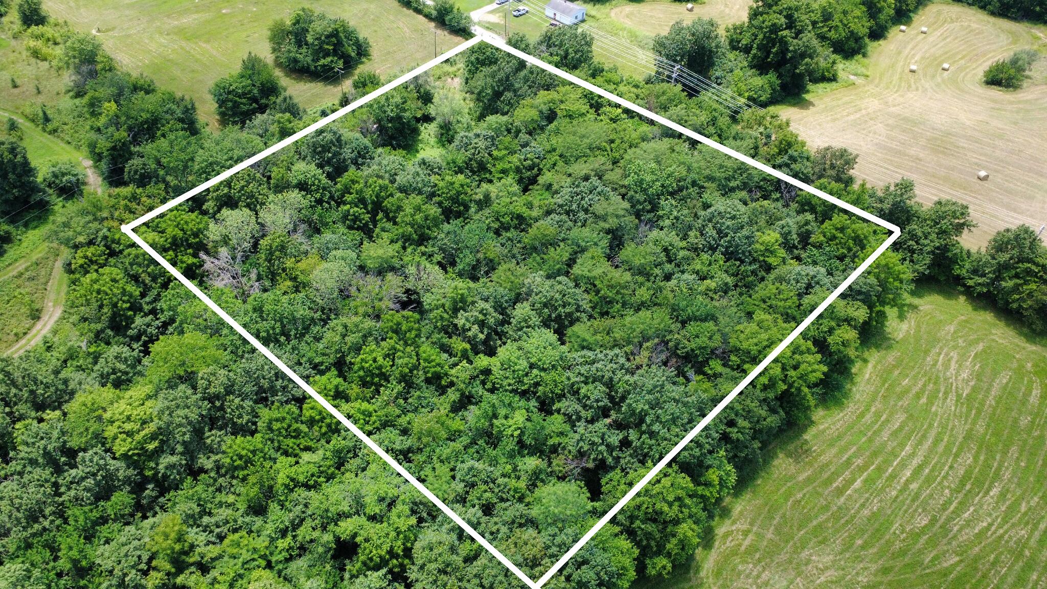 Photo 9 - Land for sale – 510  Lilly Street Street  Greenfield, MO