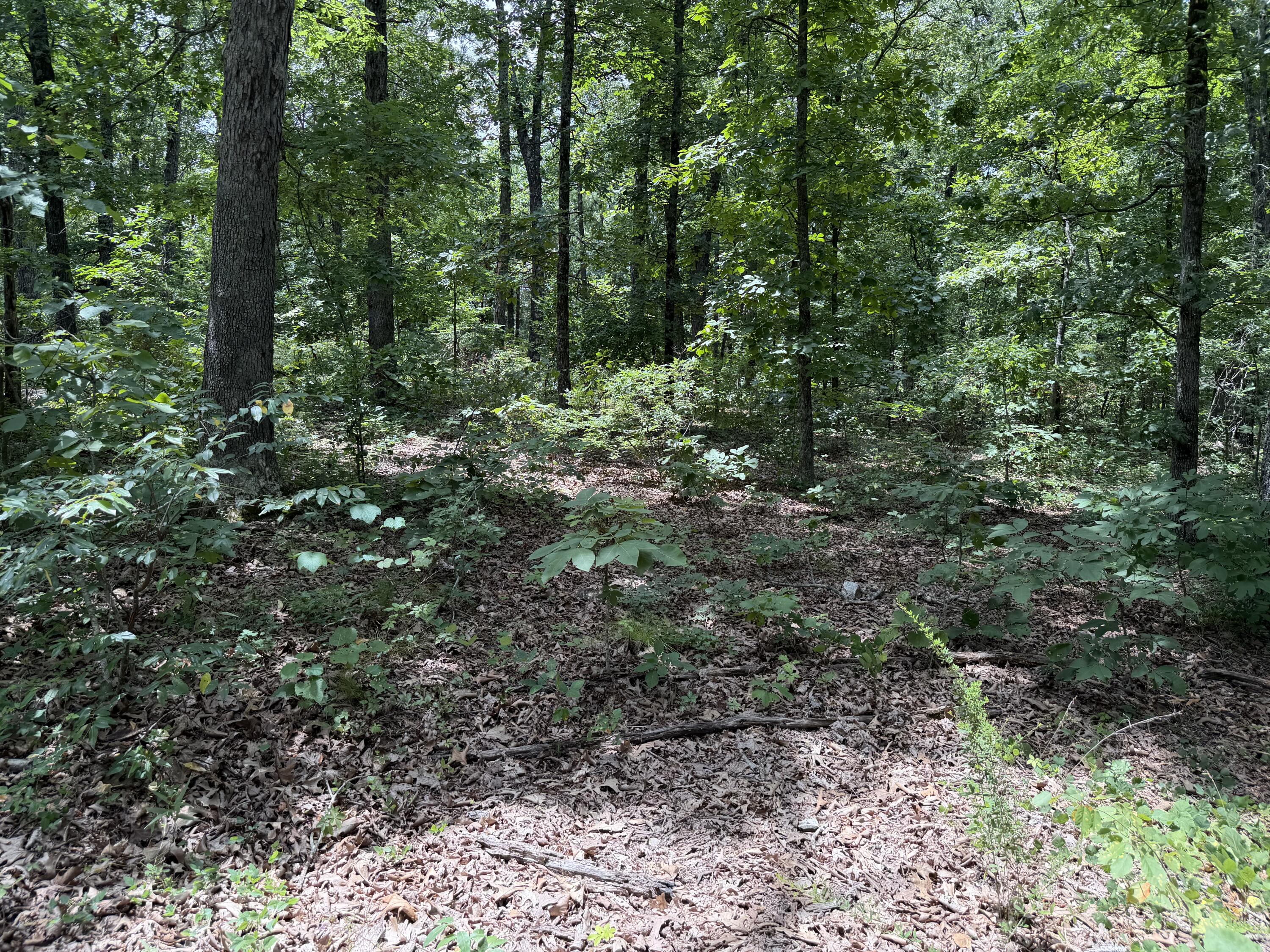 Land for sale – 000  State Hwy. 76   Cape Fair, MO