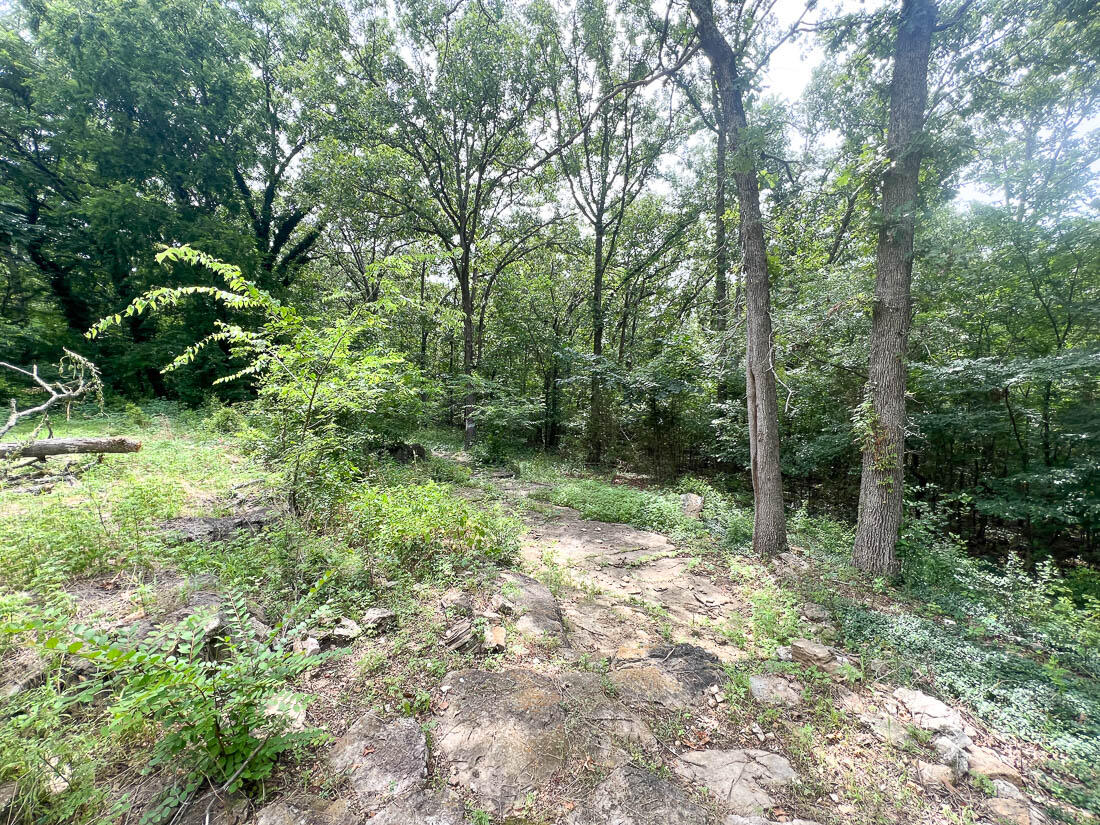 Photo 7 - Residential for sale – 483  Mc 171 Road  Theodosia, MO