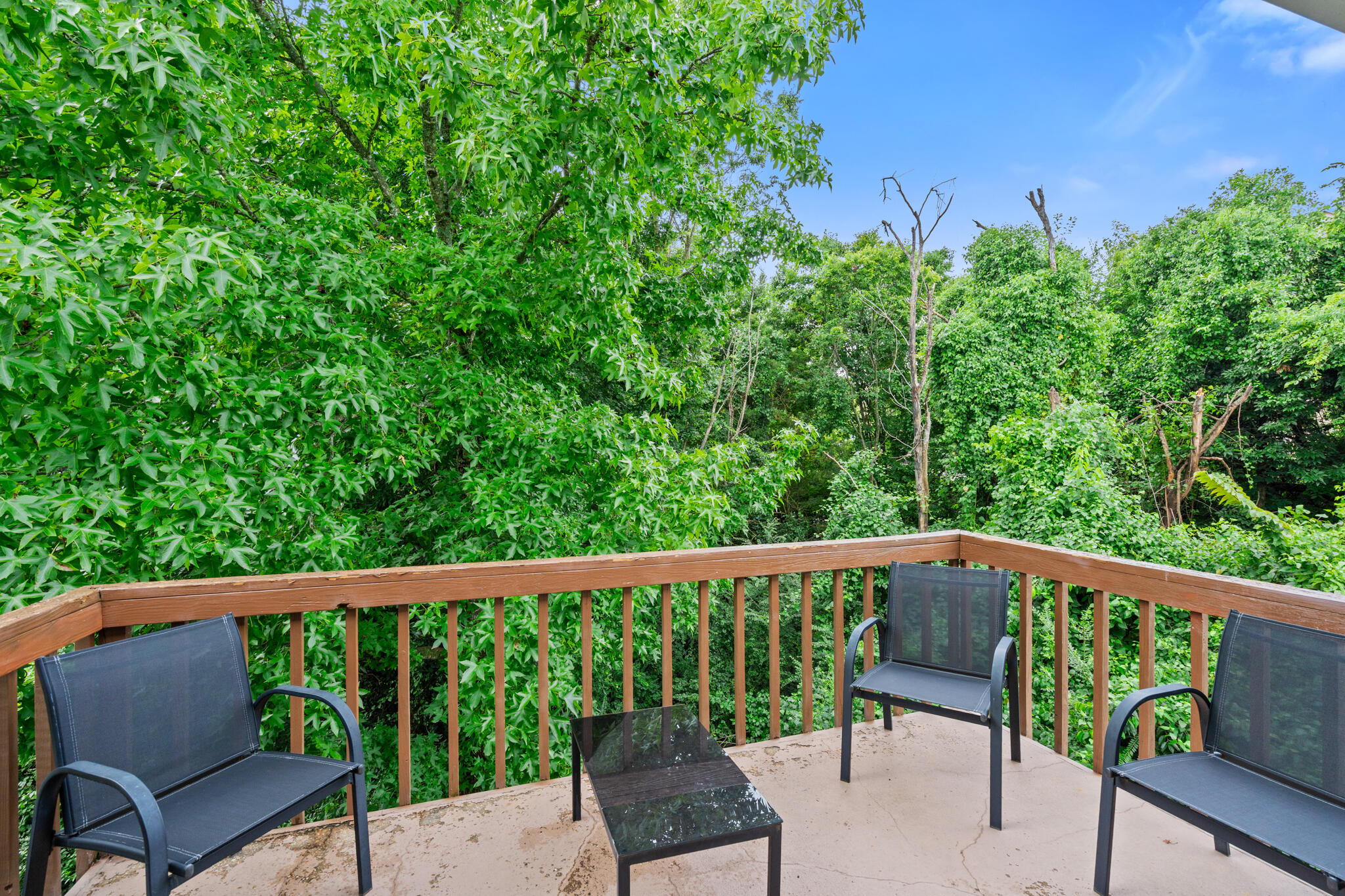 Photo 19 - Residential for sale – 6  Memory Lane  Branson, MO