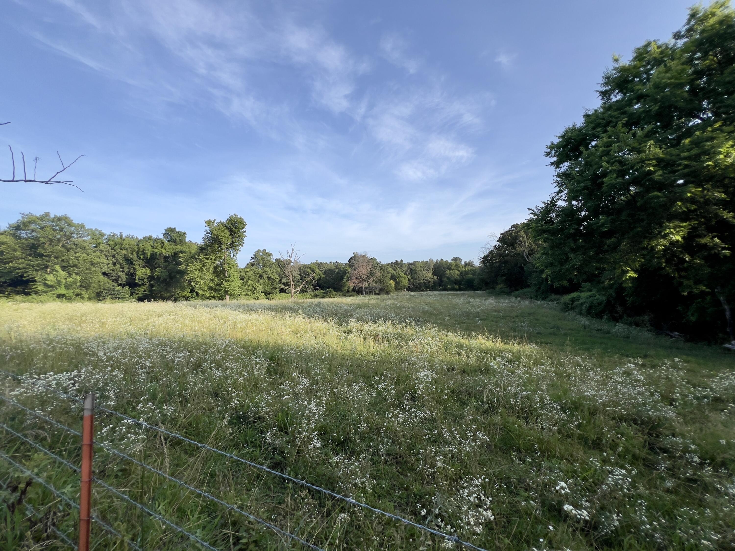 Photo 12 - Land for sale – 44  Thrasher   Anderson, MO