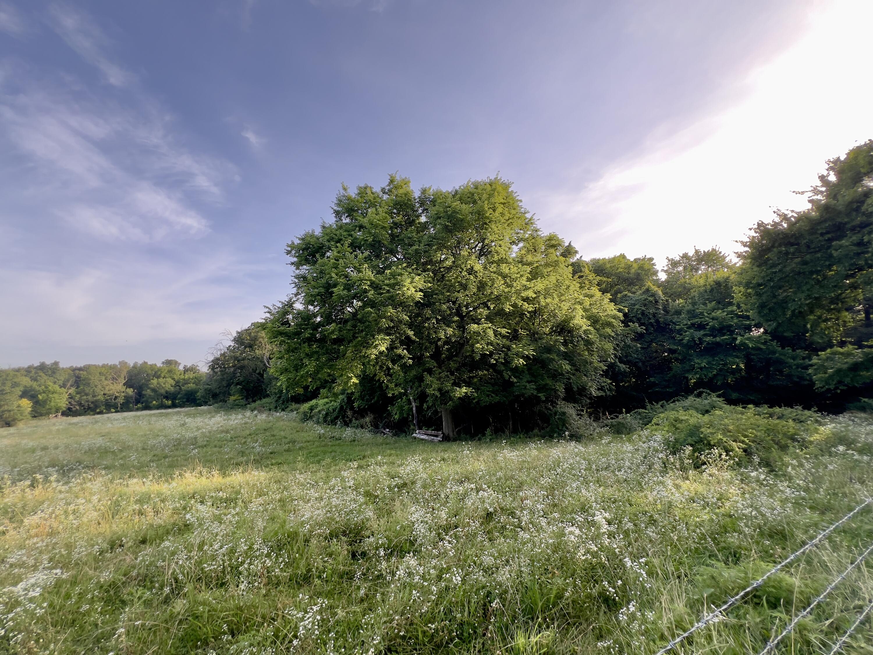 Photo 11 - Land for sale – 44  Thrasher   Anderson, MO
