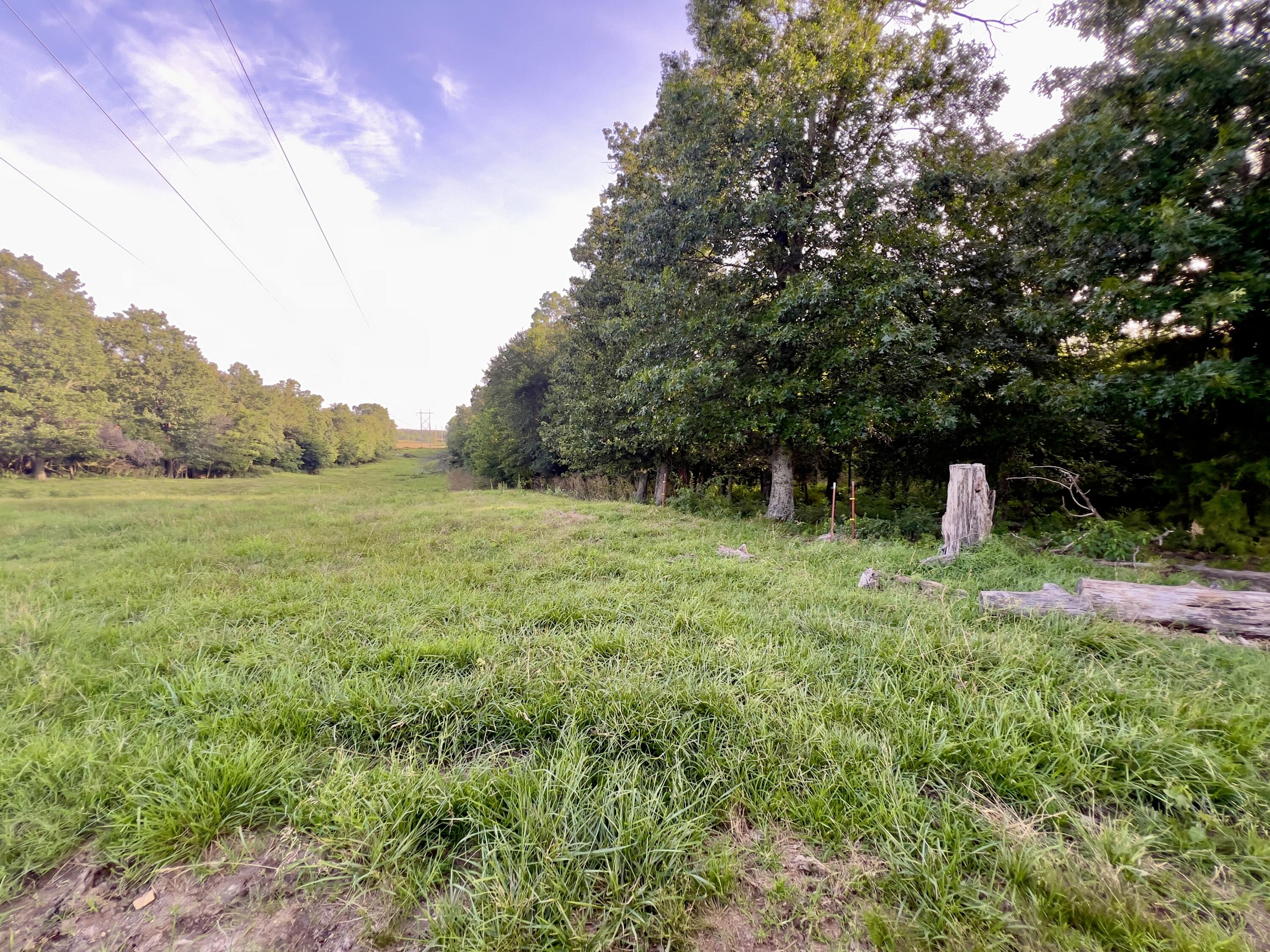 Photo 14 - Land for sale – 44  Thrasher   Anderson, MO