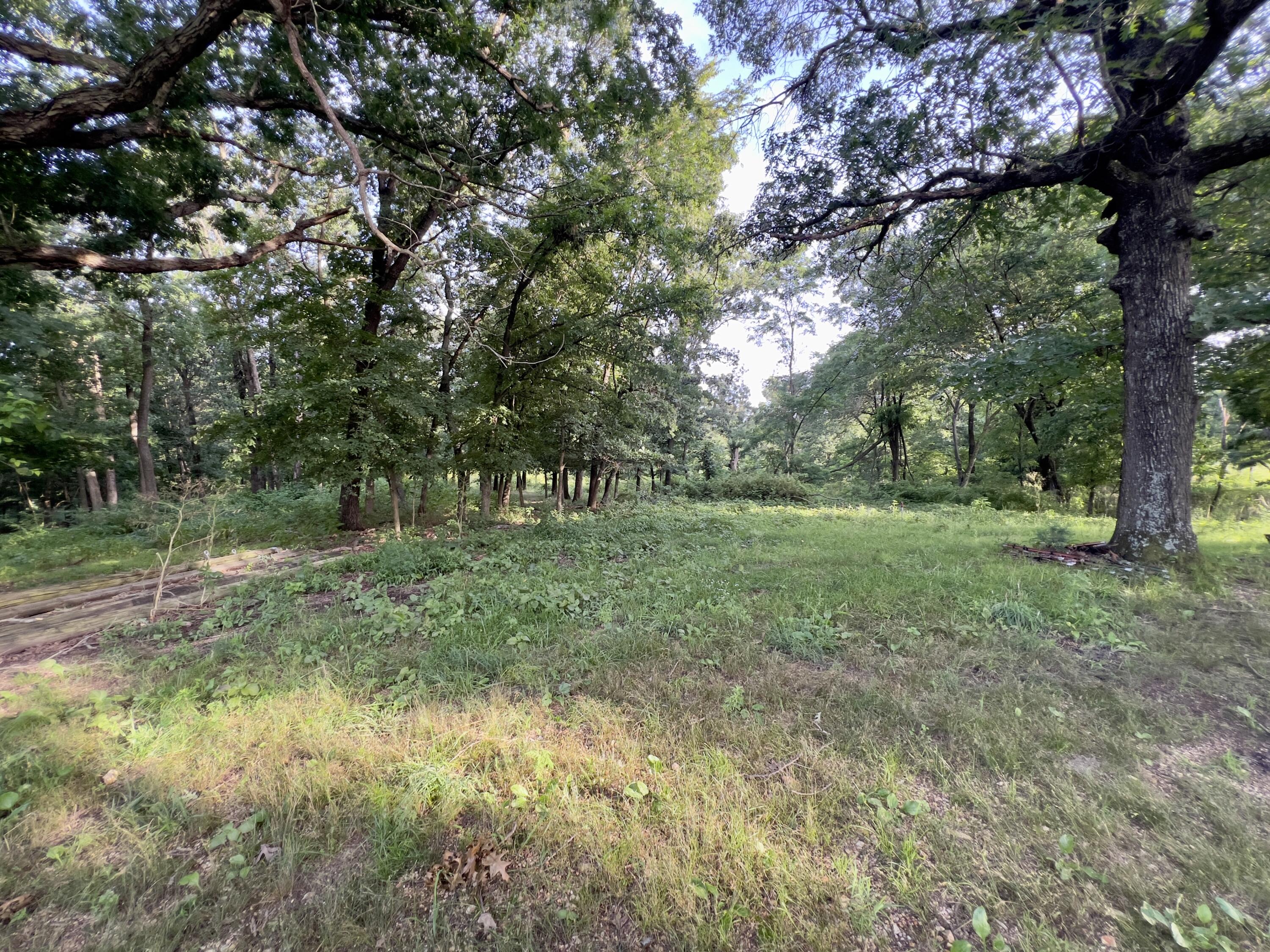 Photo 10 - Land for sale – 44  Thrasher   Anderson, MO