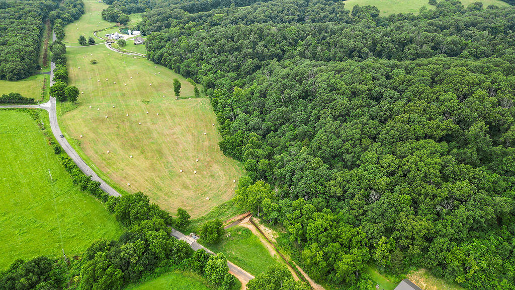 Photo 12 - Land for sale – 34.28ac  Farm Road 2190   Exeter, MO