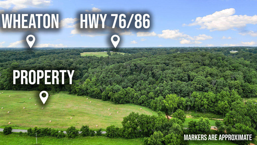 Photo 11 - Land for sale – 34.28ac  Farm Road 2190   Exeter, MO