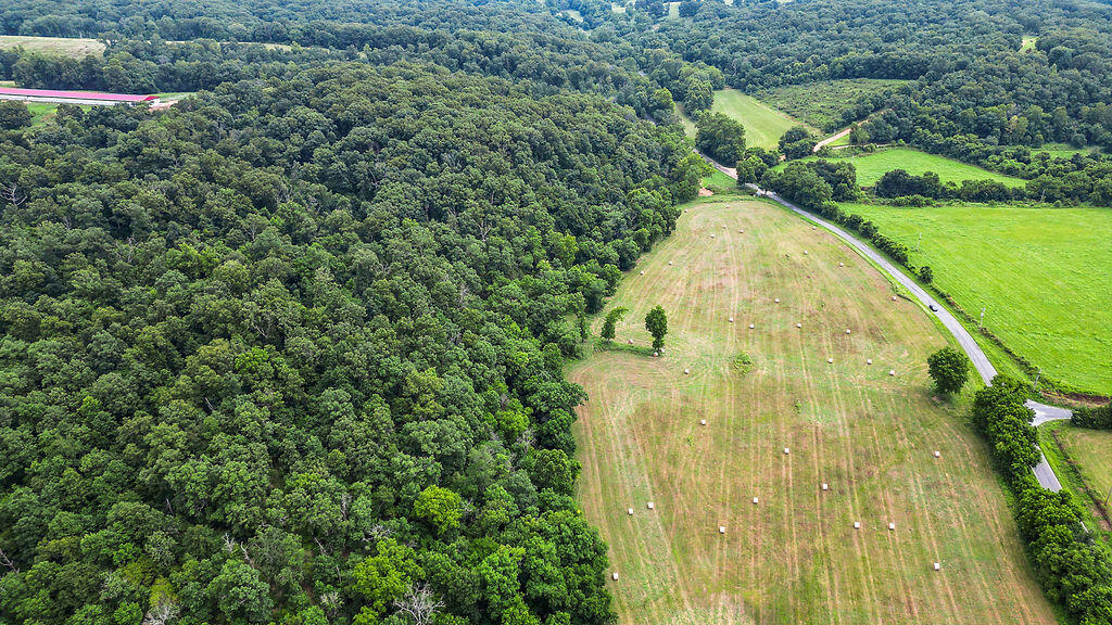 Photo 7 - Land for sale – 34.28ac  Farm Road 2190   Exeter, MO