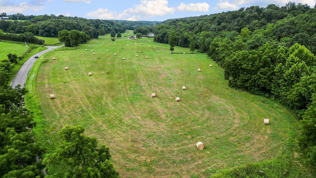 Photo 4 - Land for sale – 34.28ac  Farm Road 2190   Exeter, MO