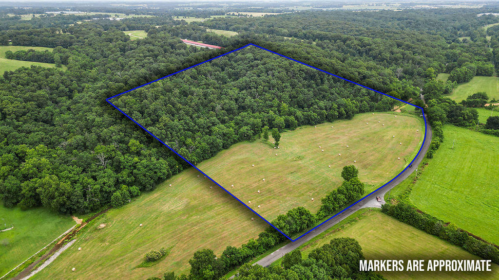Photo 6 - Land for sale – 34.28ac  Farm Road 2190   Exeter, MO