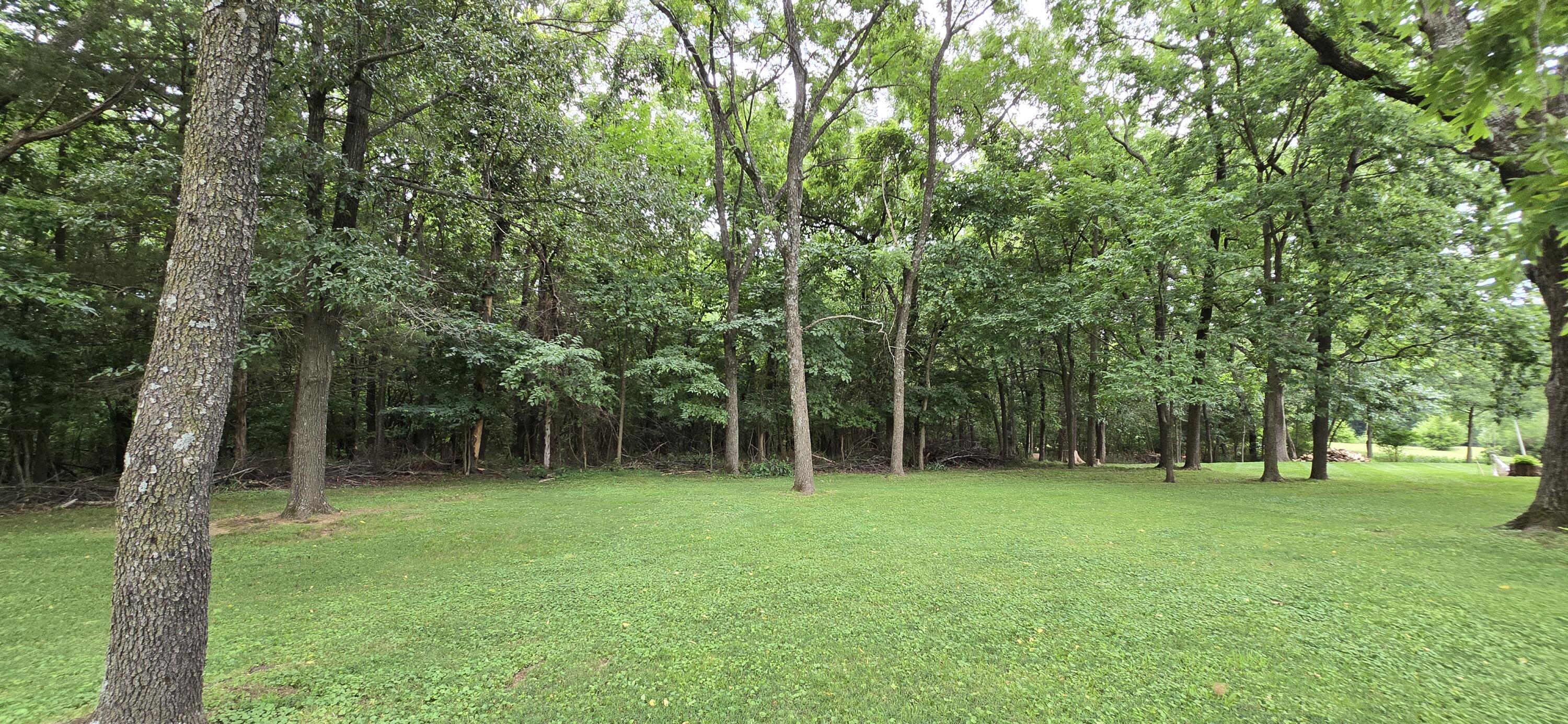 Photo 51 - Residential for sale – 3540 N Farm Road 175   Springfield, MO