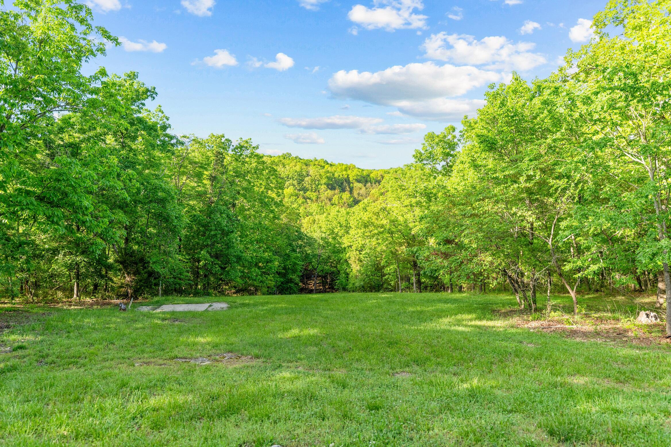 Photo 10 - Land for sale – 000  El Monte - Lot 2   Branson, MO