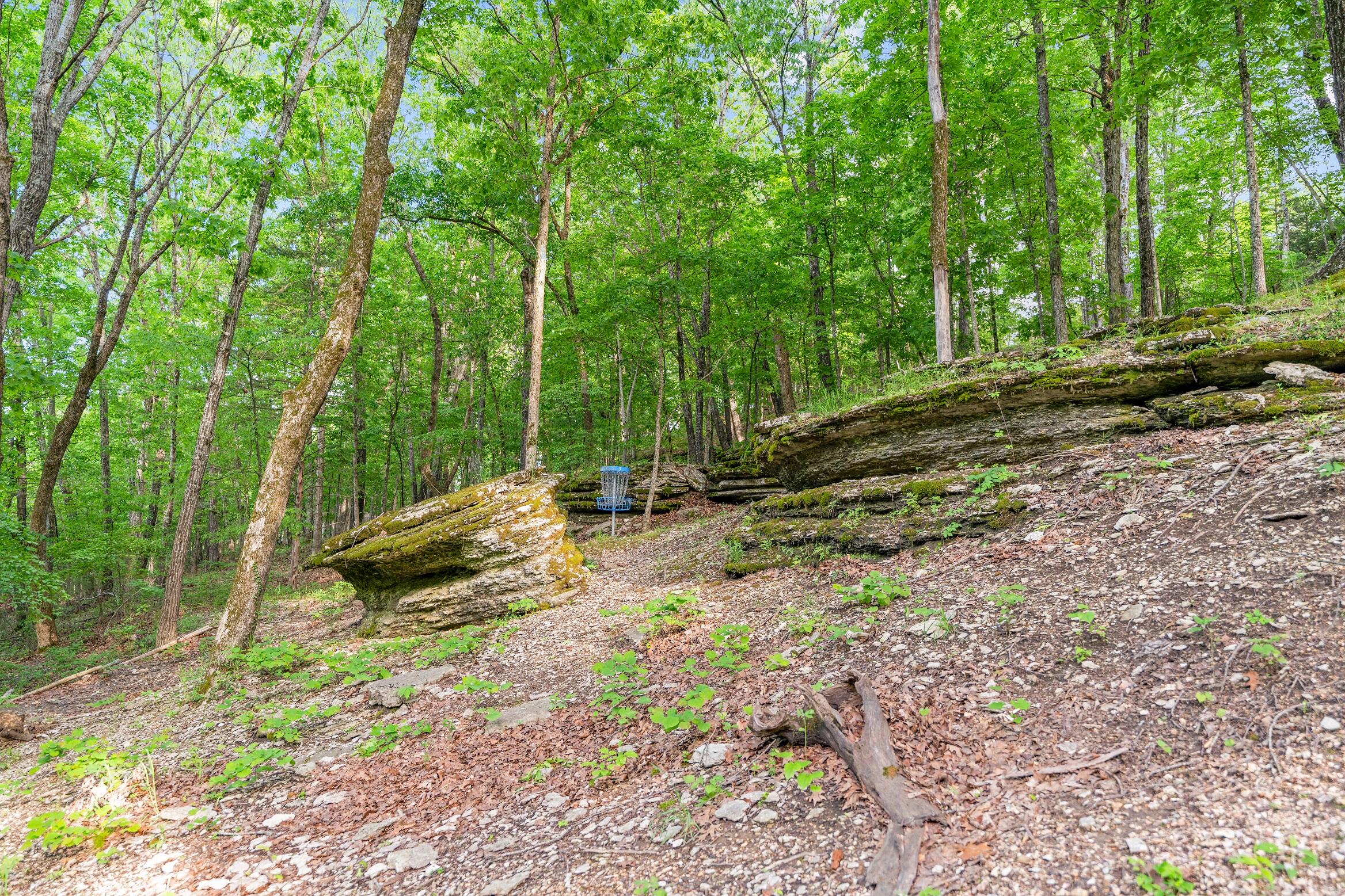 Photo 6 - Land for sale – 000  El Monte - Lot 2   Branson, MO
