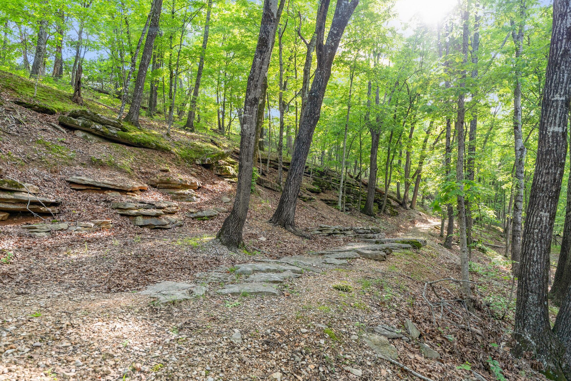 Photo 3 - Land for sale – 000  El Monte - Lot 2   Branson, MO