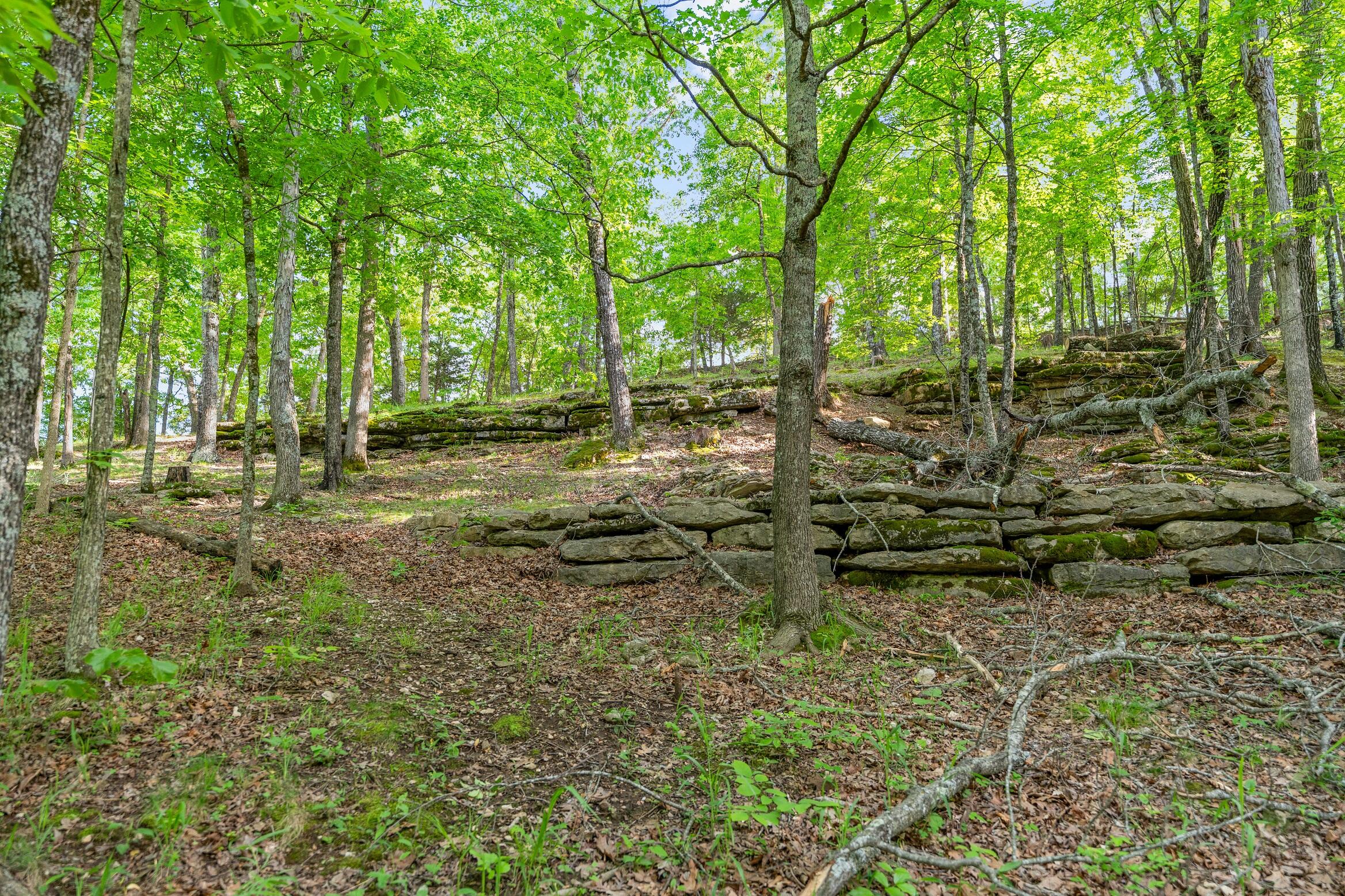 Photo 2 - Land for sale – 000  El Monte - Lot 2   Branson, MO