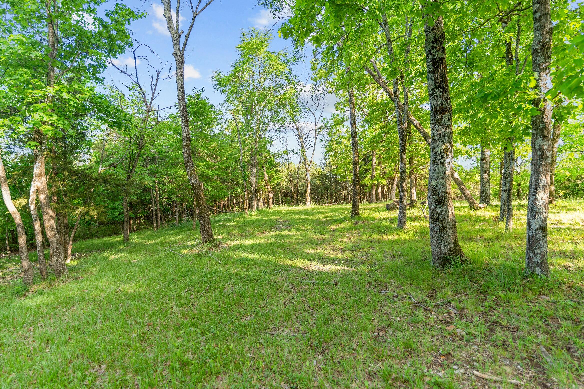 Photo 7 - Land for sale – 000  El Monte - Lot 2   Branson, MO