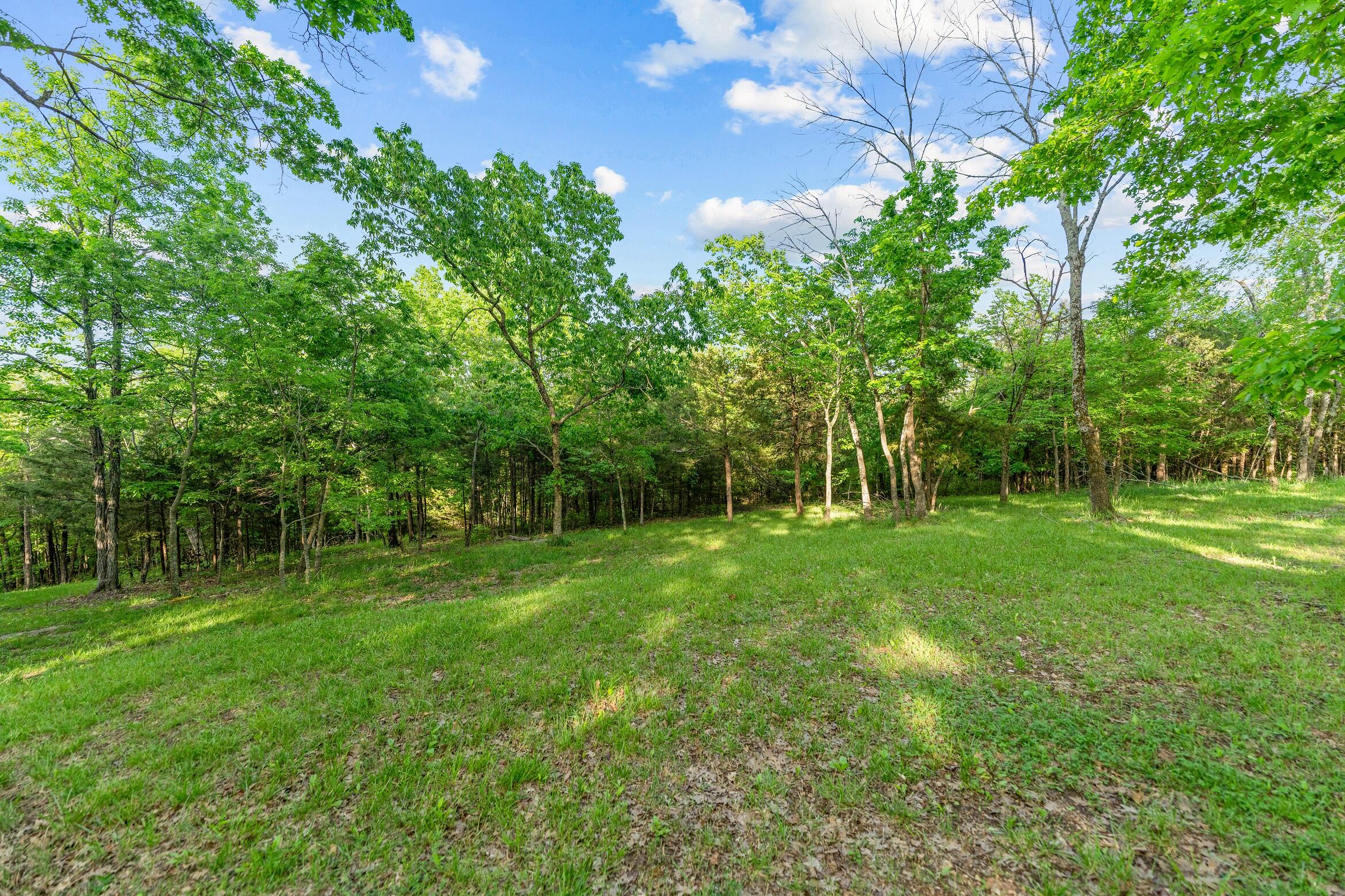 Photo 9 - Land for sale – 000  El Monte - Lot 2   Branson, MO