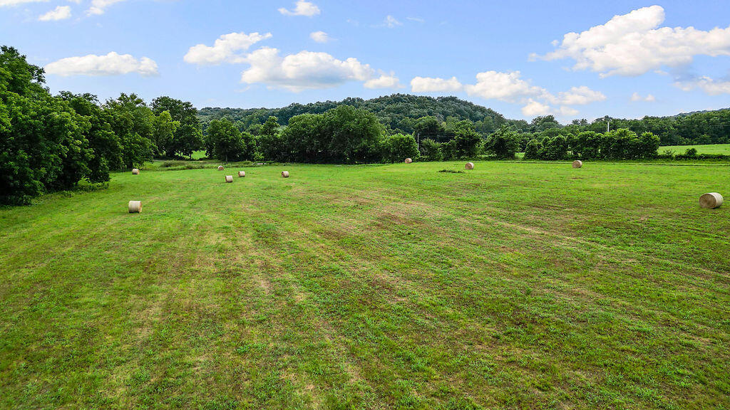 Photo 16 - Land for sale – 17.14ac  Farm Road 2190   Exeter, MO