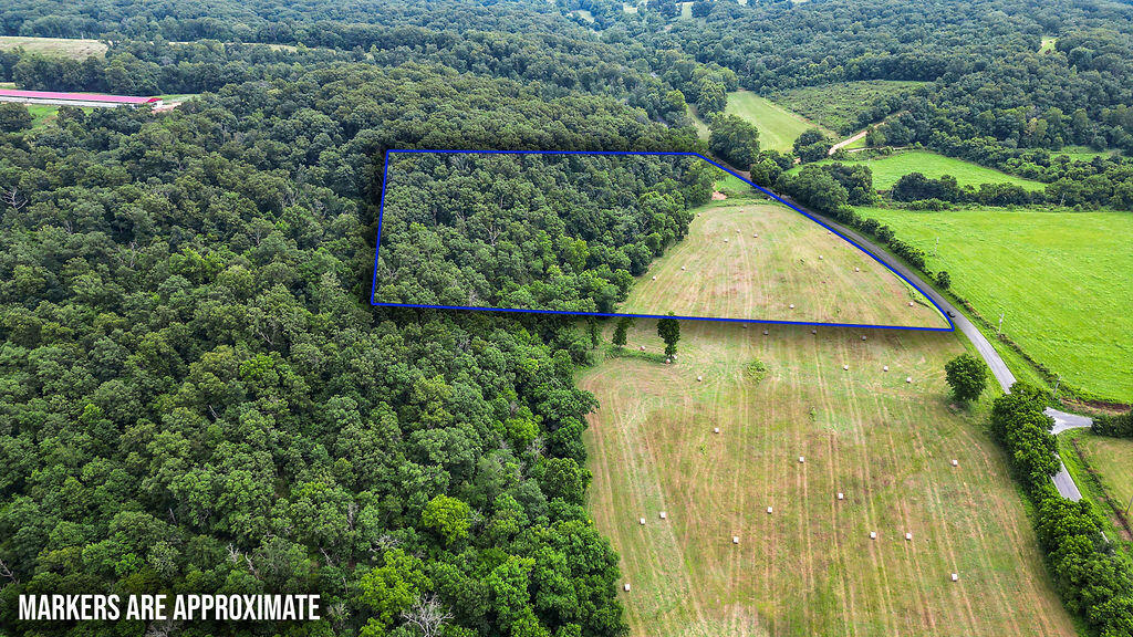 Photo 4 - Land for sale – 17.14ac  Farm Road 2190   Exeter, MO